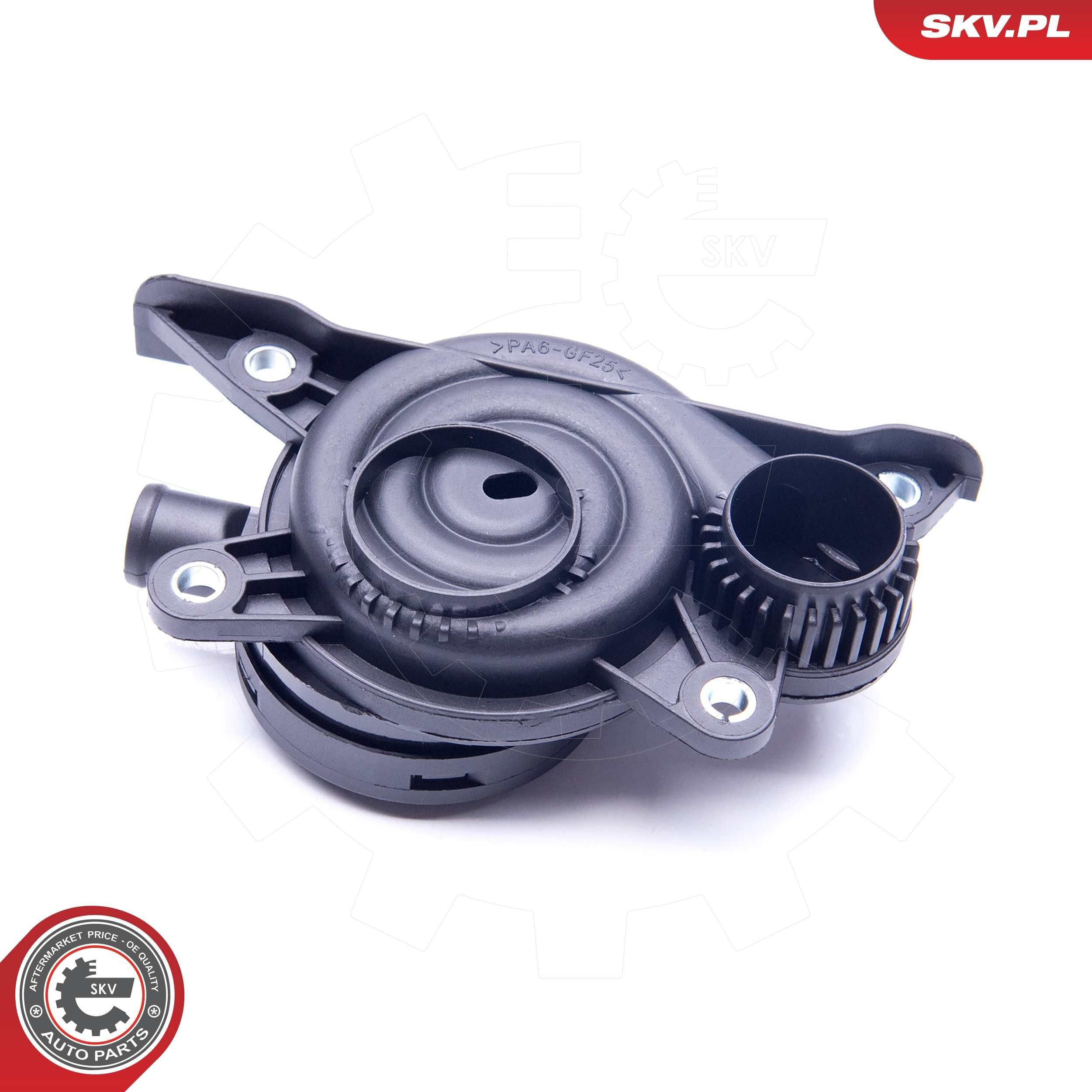 Клапан вентиляции картерных газов SKV 31SKV060