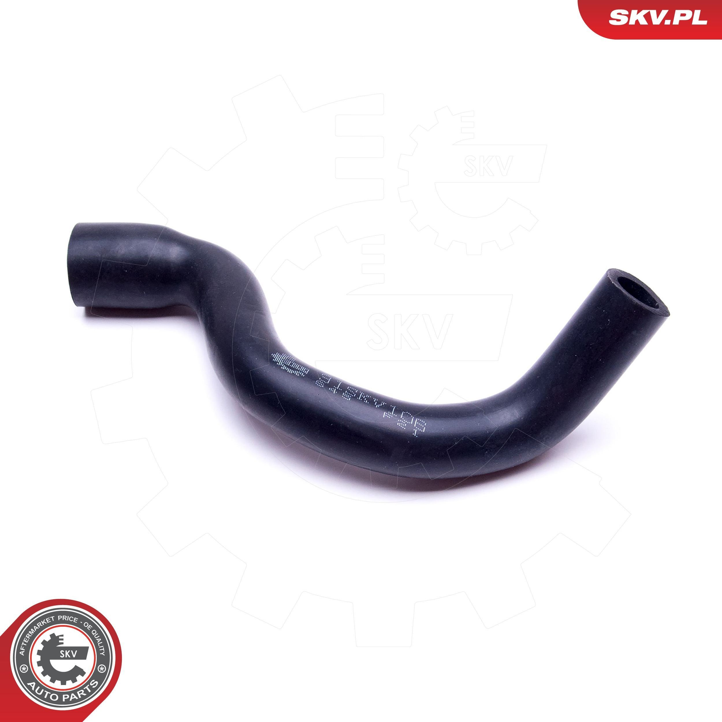31SKV106 SKV 
