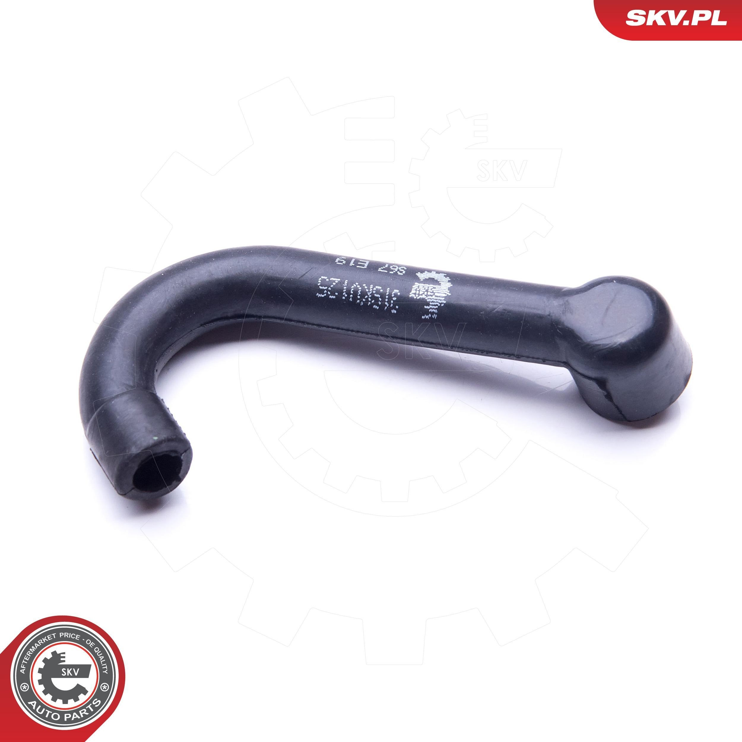 Купить 31SKV125 SKV 