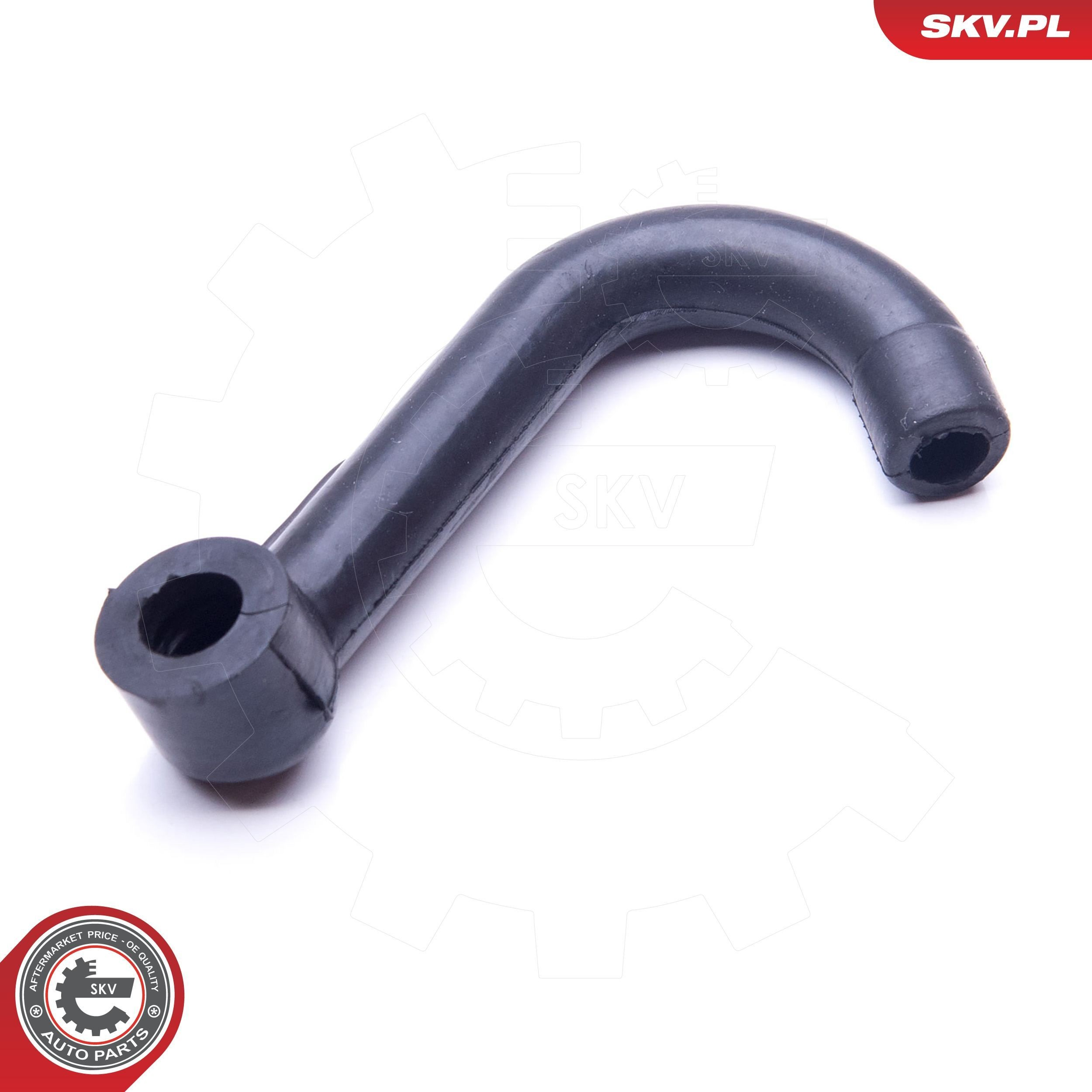 31SKV125 SKV
