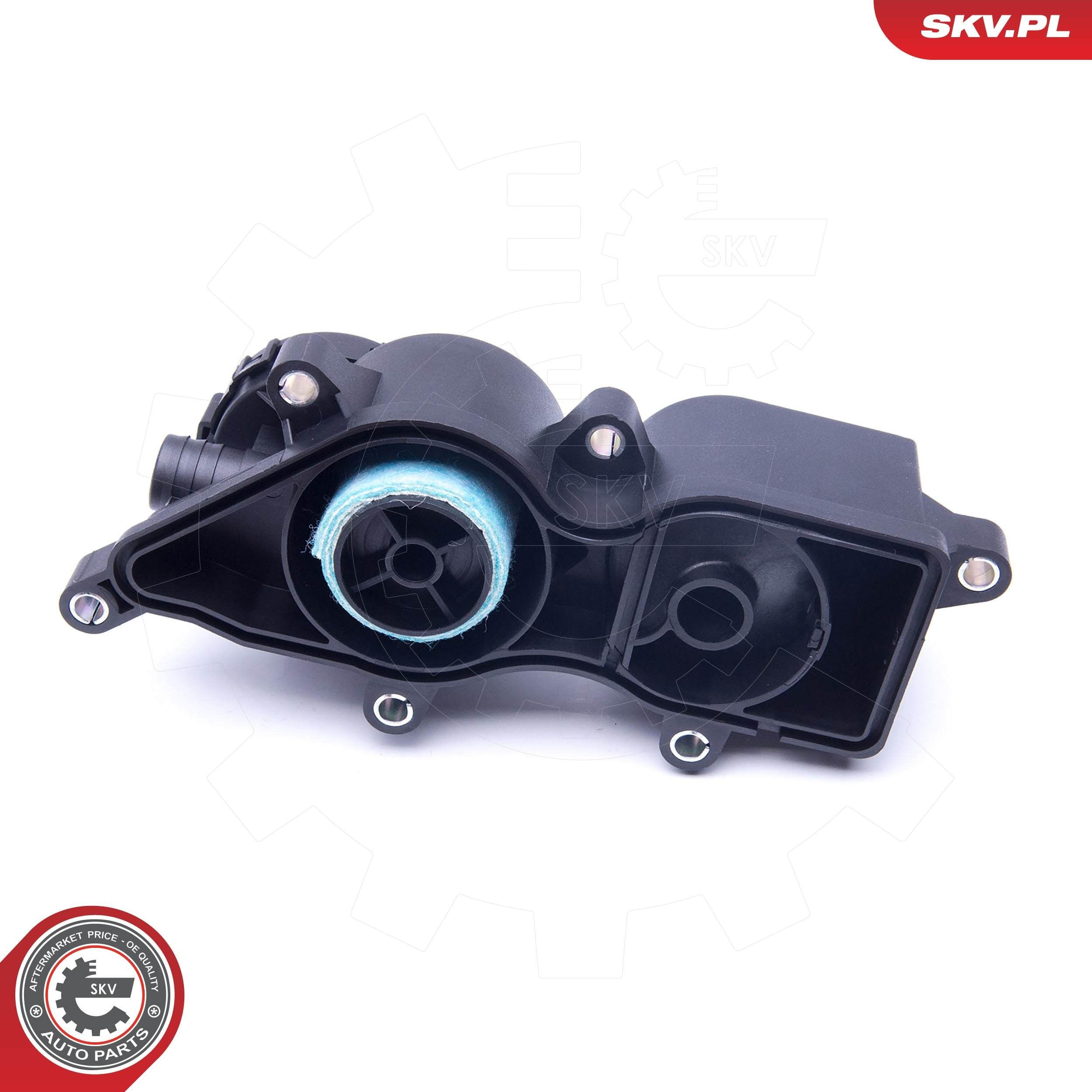 Маслоотделитель картерных газов 31SKV131 SKV