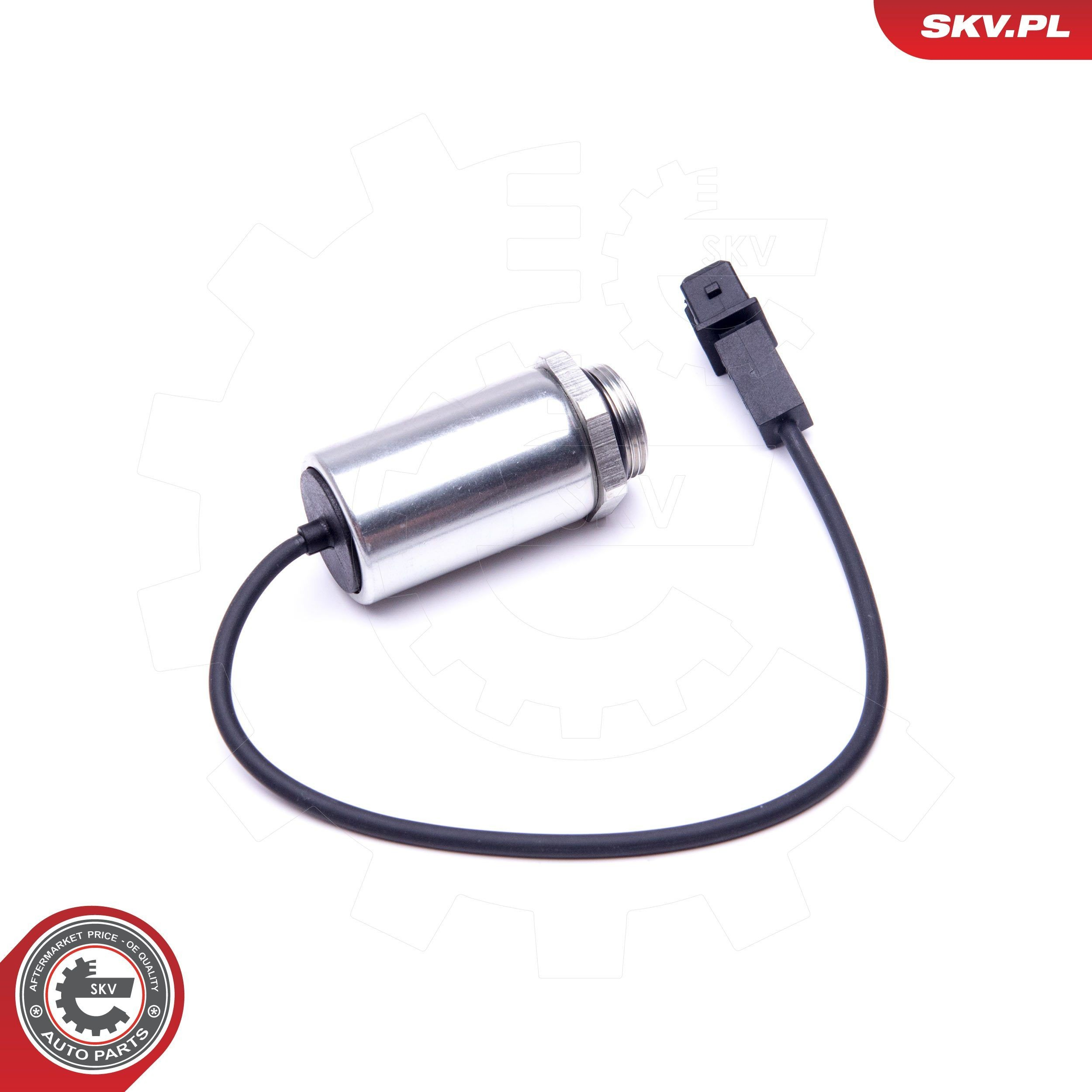 Клапан фазорегулятора 39SKV048 SKV