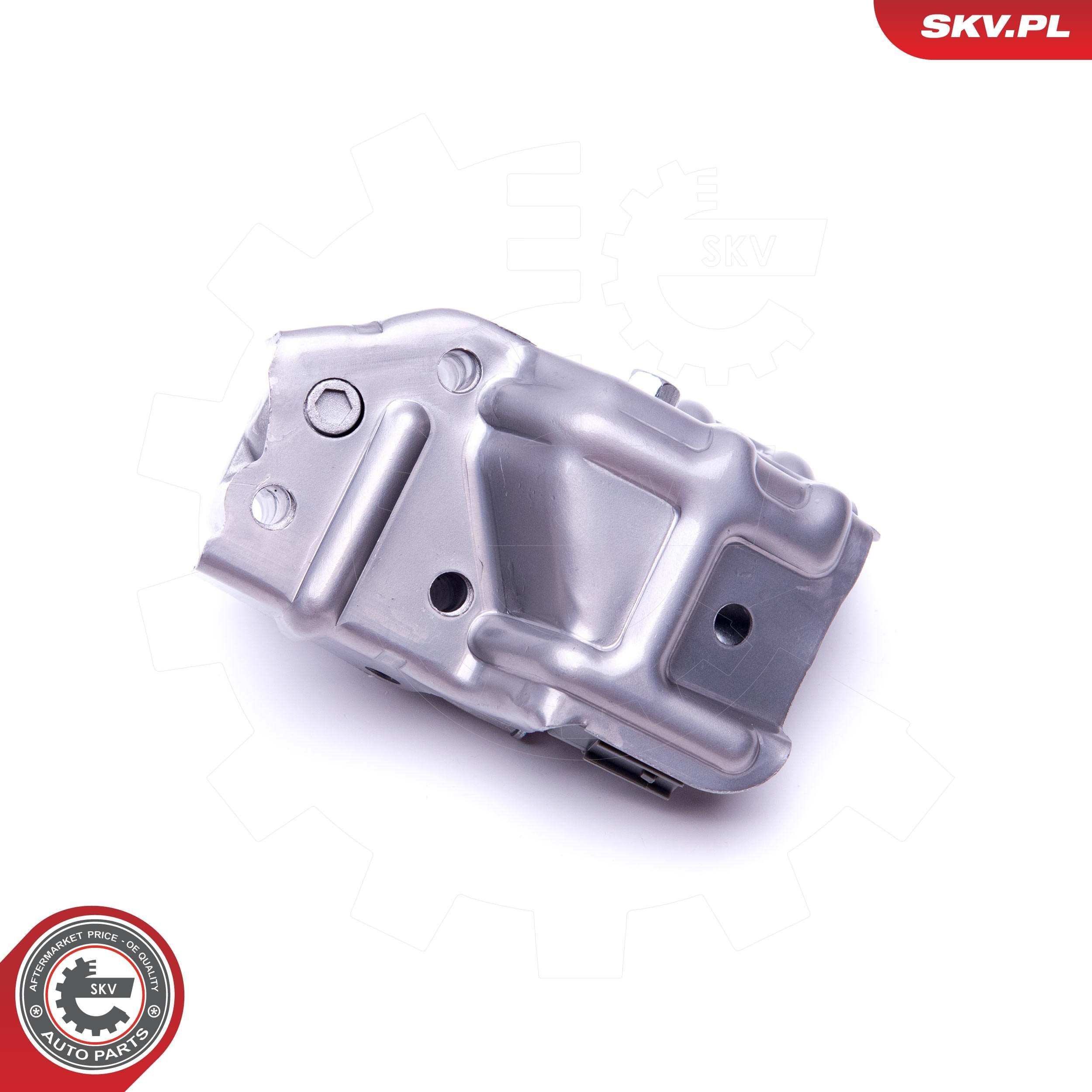 Купить 39SKV054 SKV Регулятор фаз газораспределения