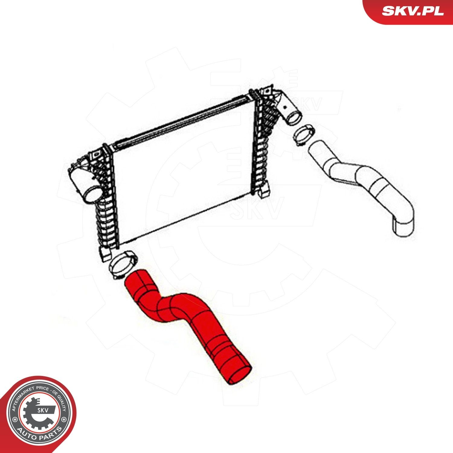 Купить 43SKV001 SKV 