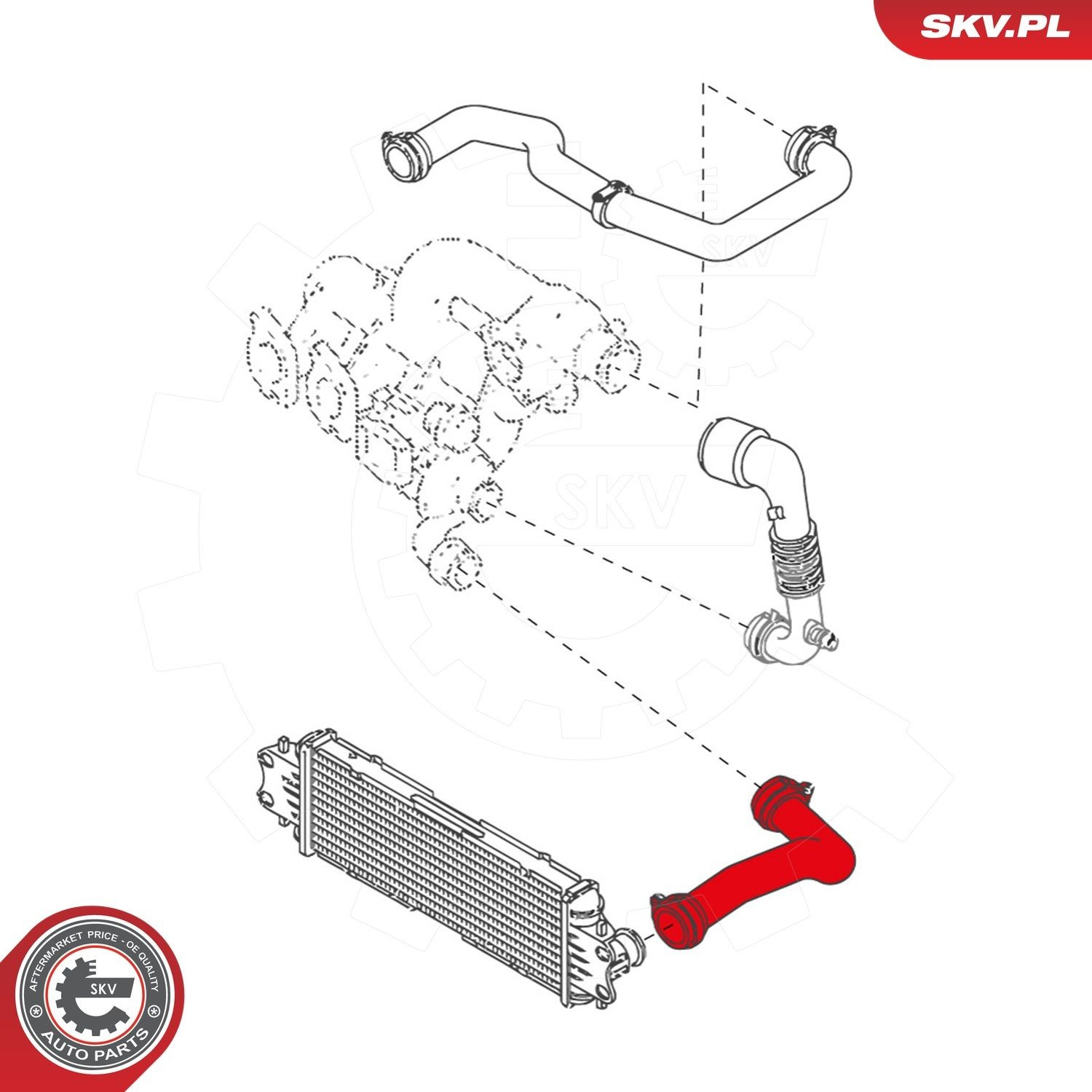 Купить 43SKV092 SKV Патрубок интеркулера