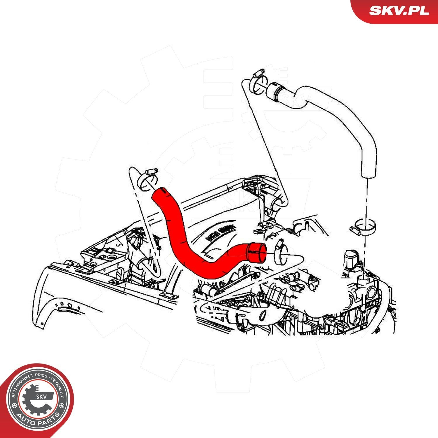  43SKV195 SKV