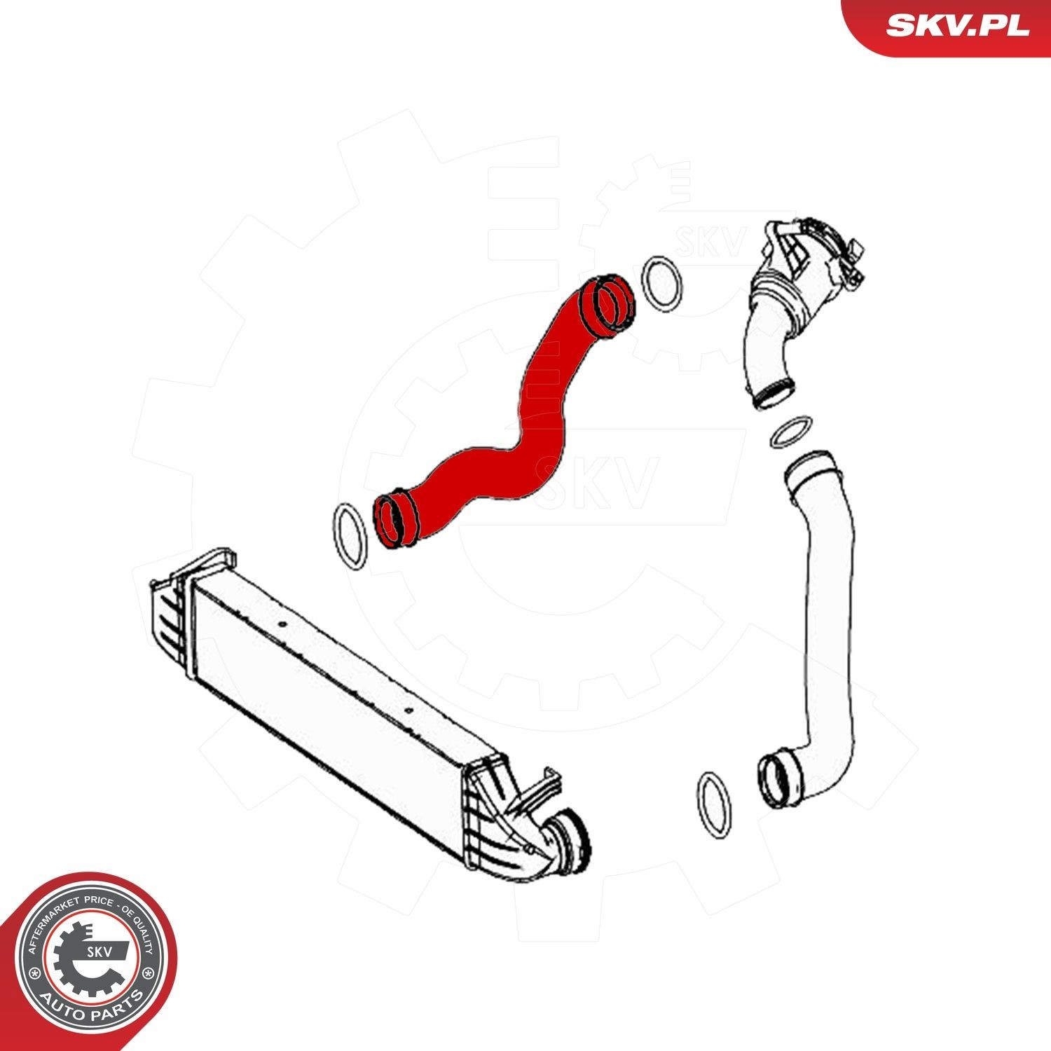  43SKV269 SKV