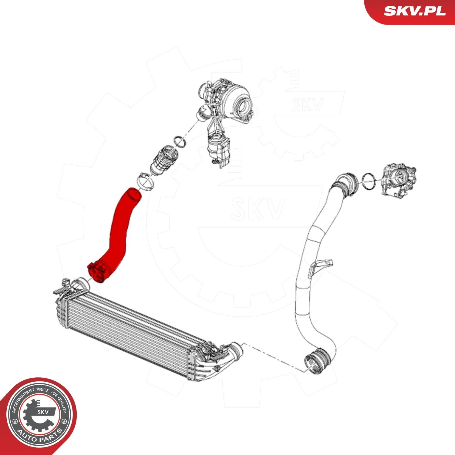 Купить 43SKV274 SKV Патрубок интеркулера