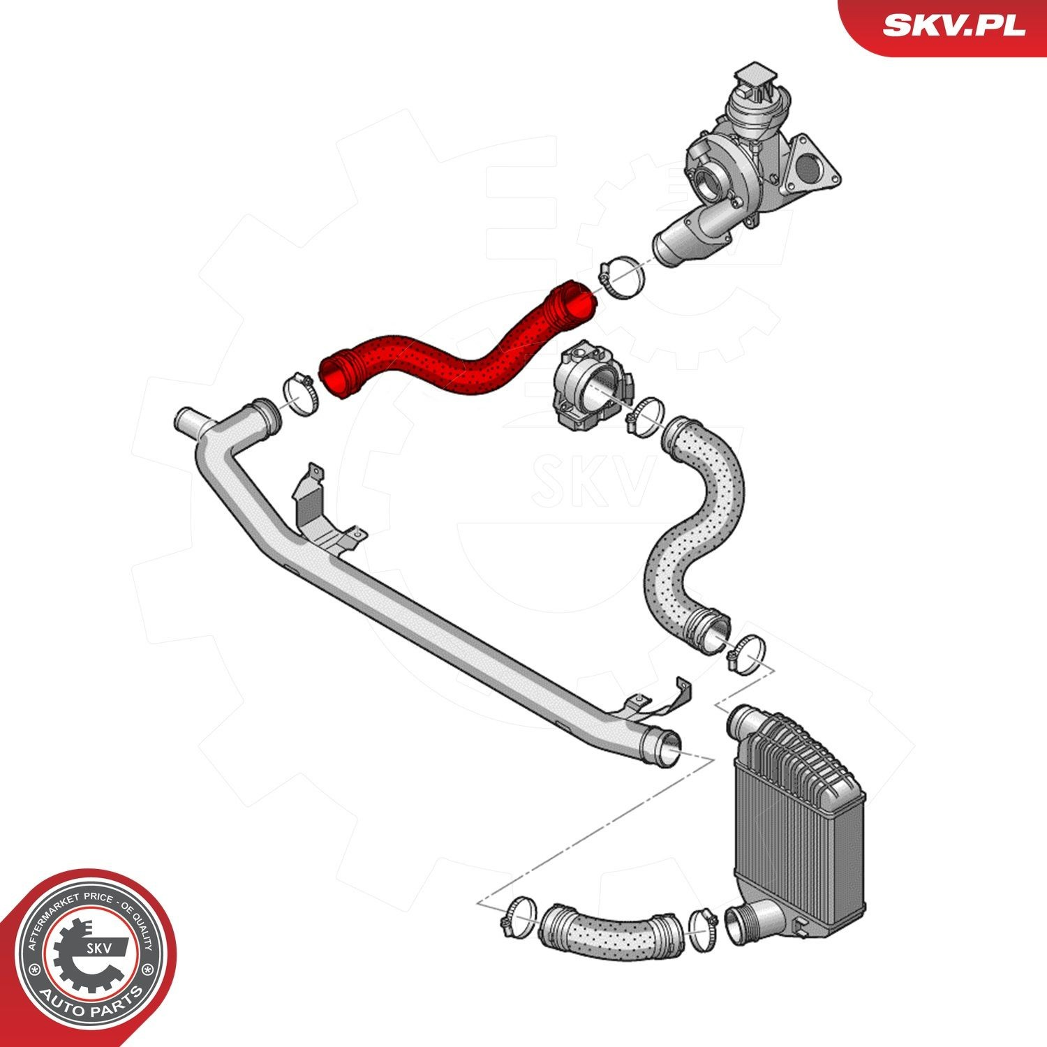  43SKV276 SKV