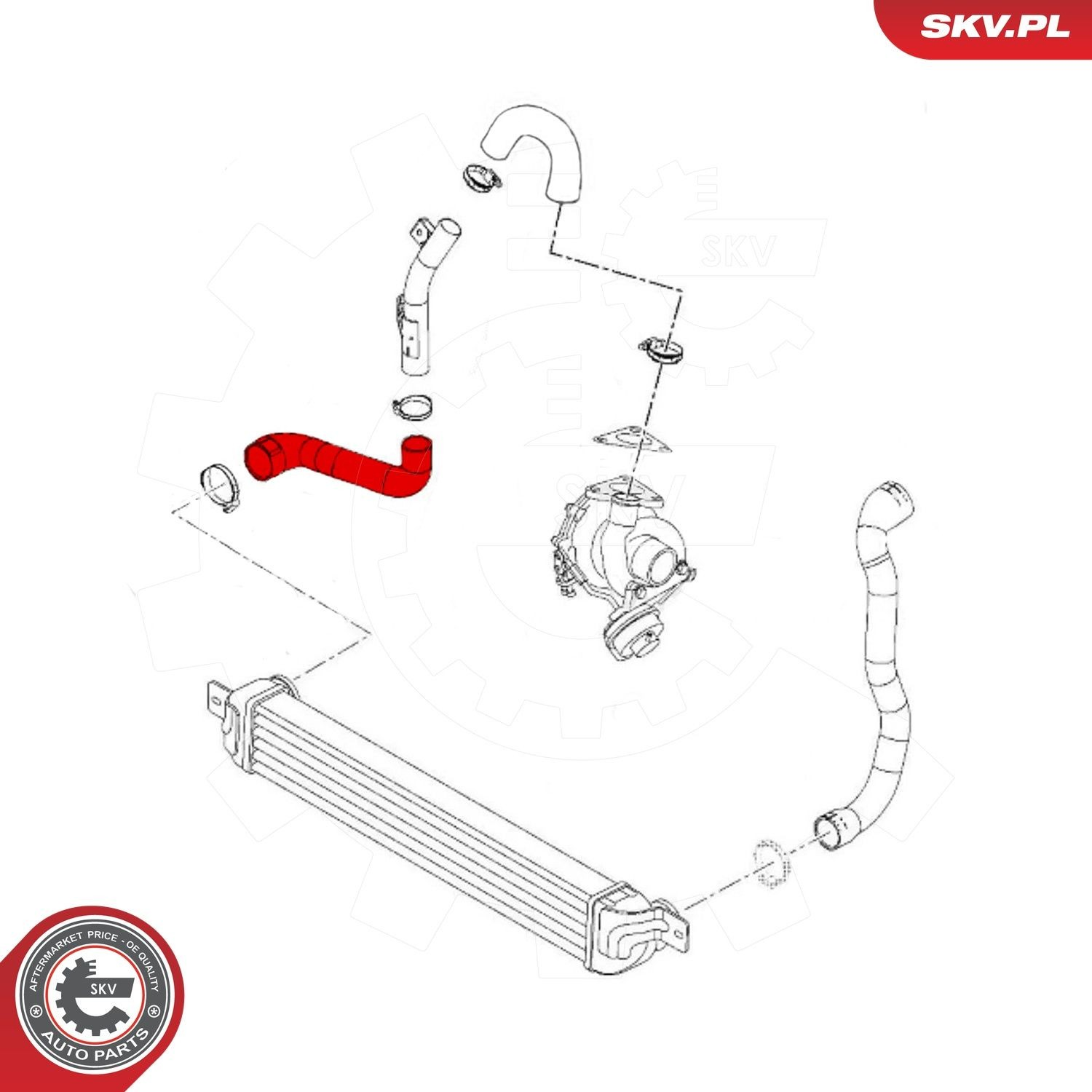Купить 43SKV300 SKV 