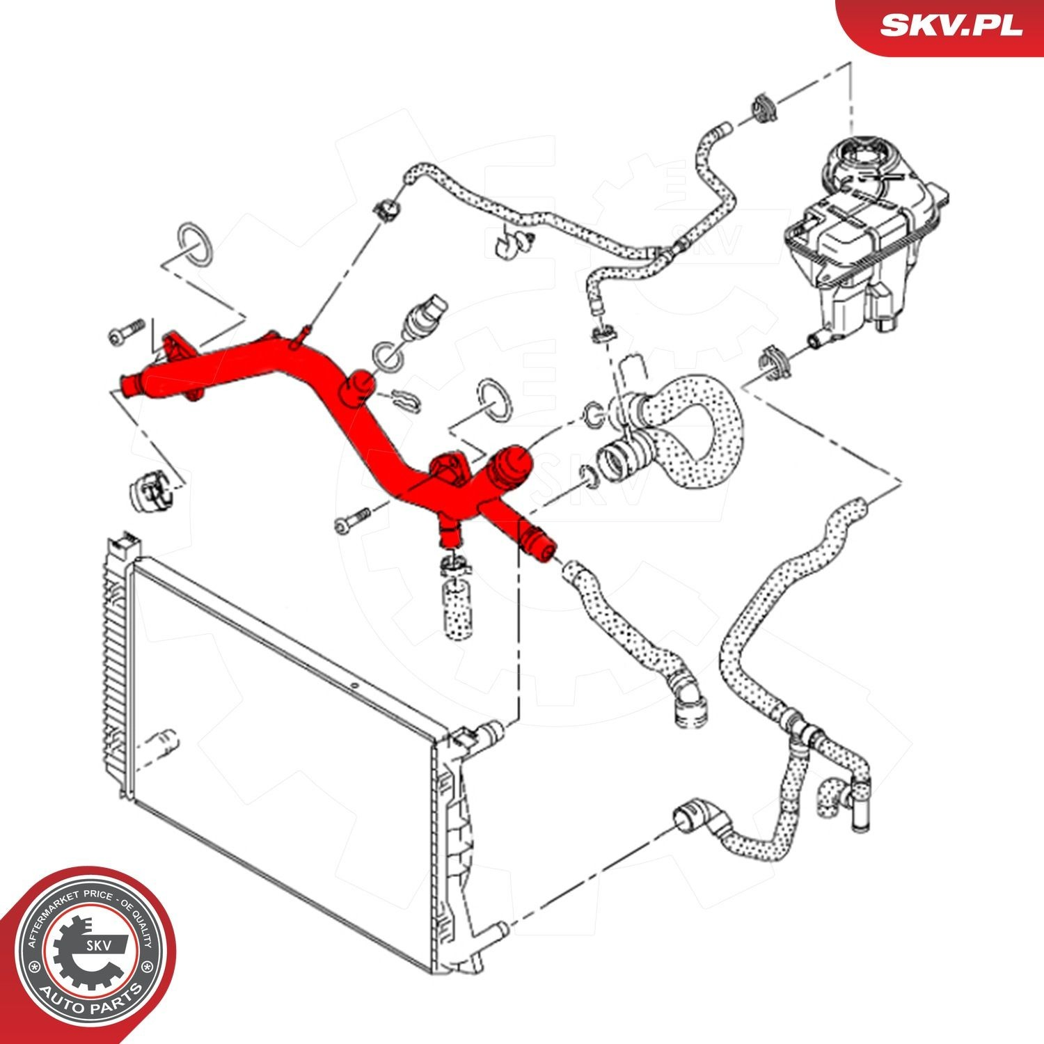 Купить 43SKV601 SKV Трубопроводы и шланги системы охлаждения