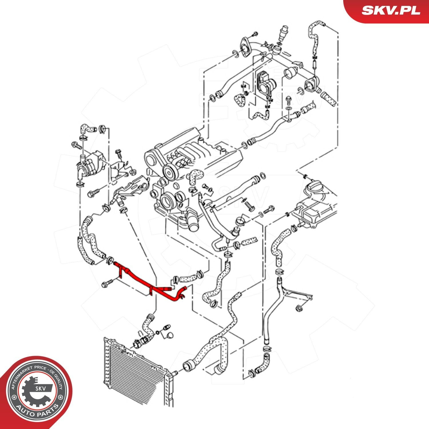 Купить 43SKV603 SKV Трубопроводы и шланги системы охлаждения