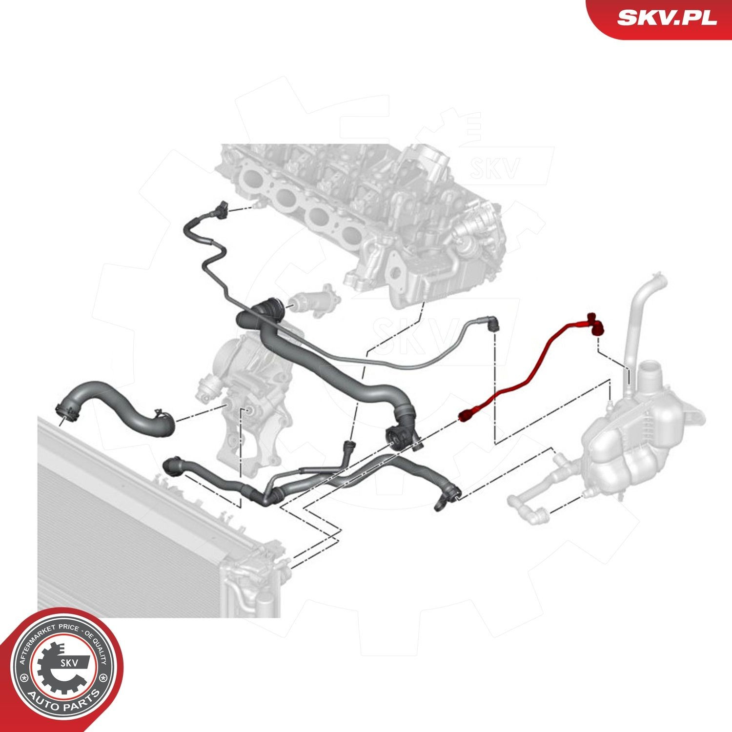 Купить 43SKV627 SKV Шланг расширительного бачка верхний