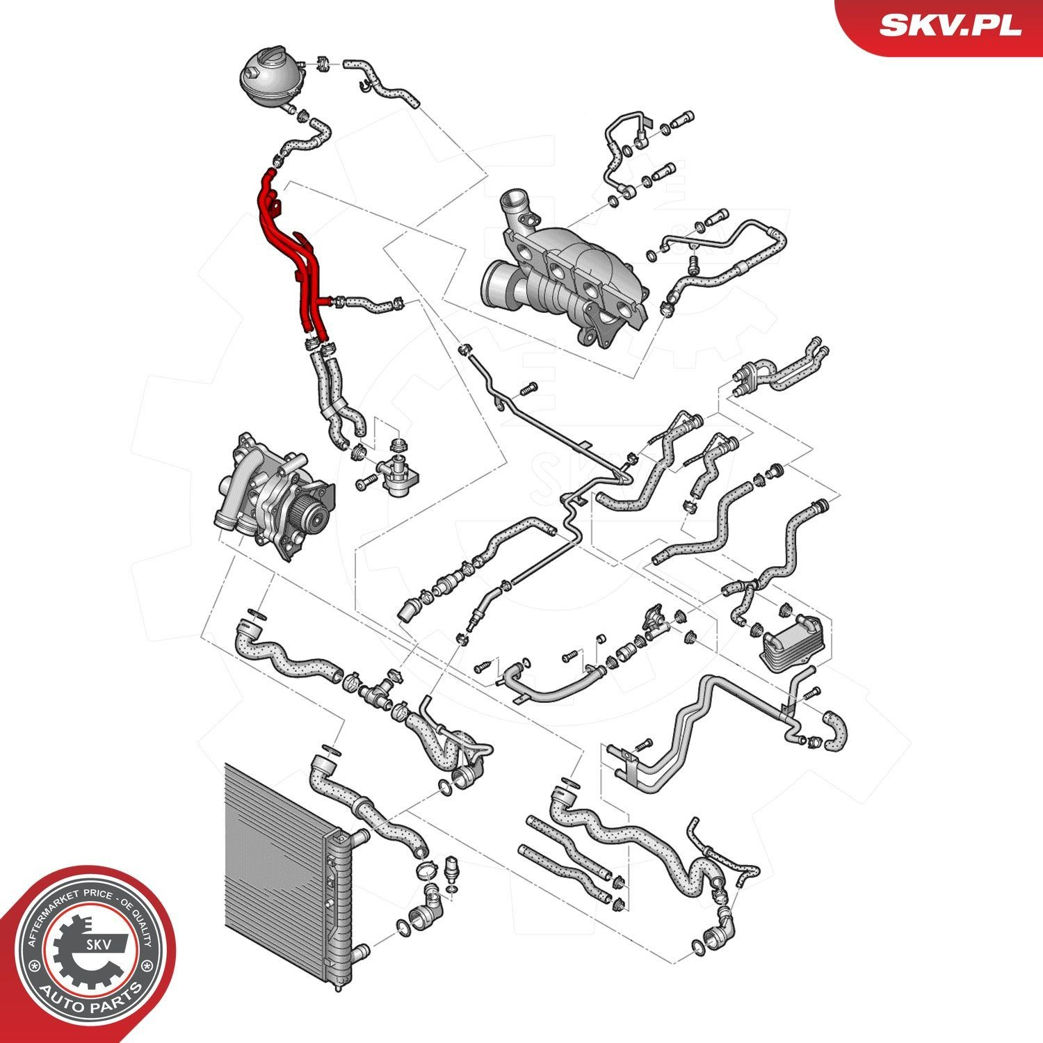 Купить 43SKV759 SKV Трубопроводы и шланги системы охлаждения