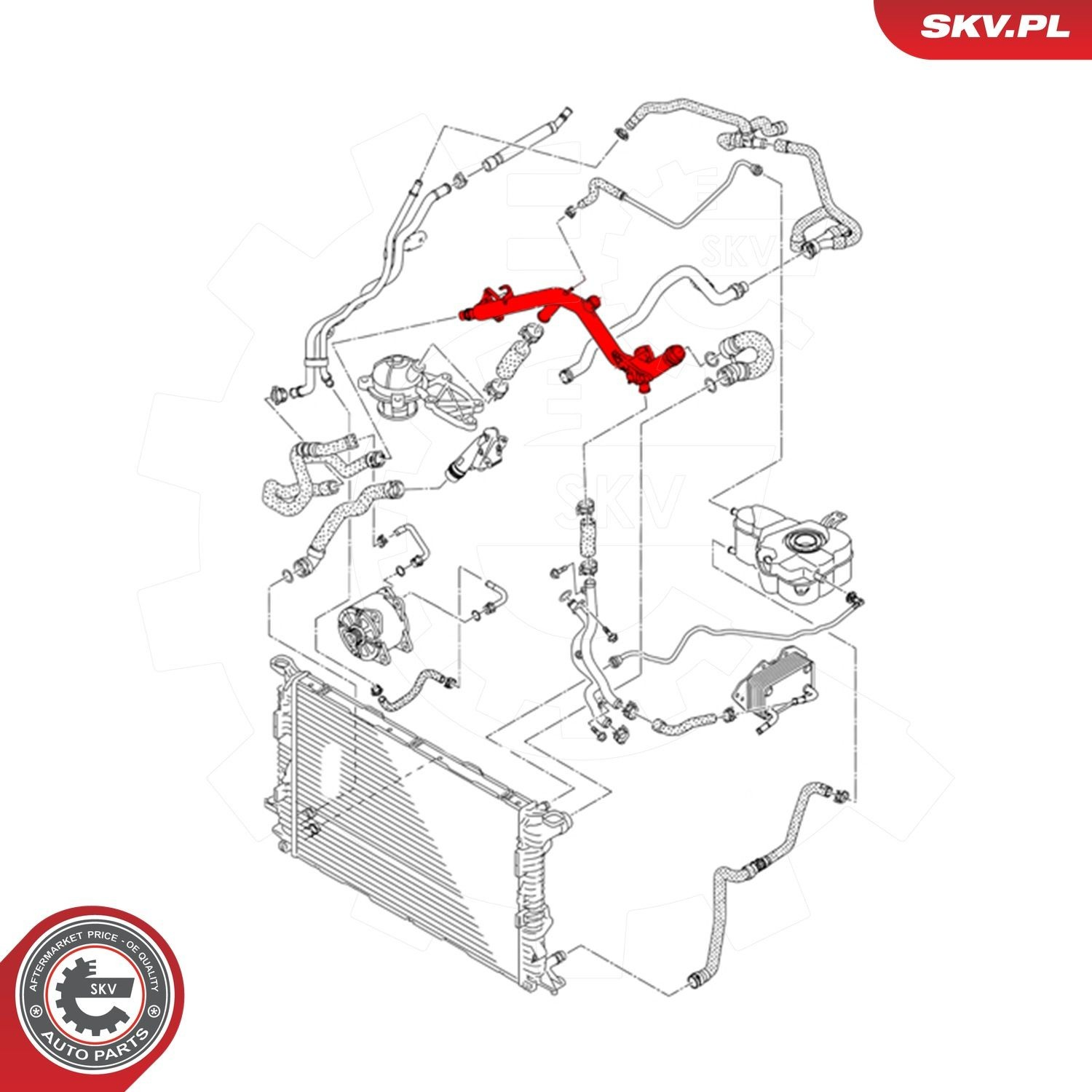 Купить 43SKV799 SKV Трубопроводы и шланги системы охлаждения