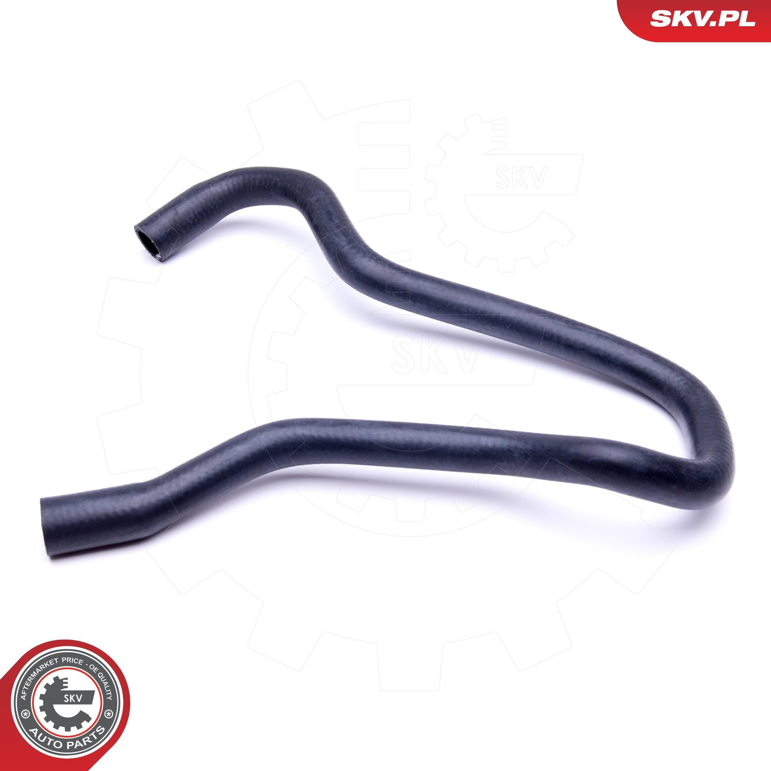 Купить 43SKV828 SKV 