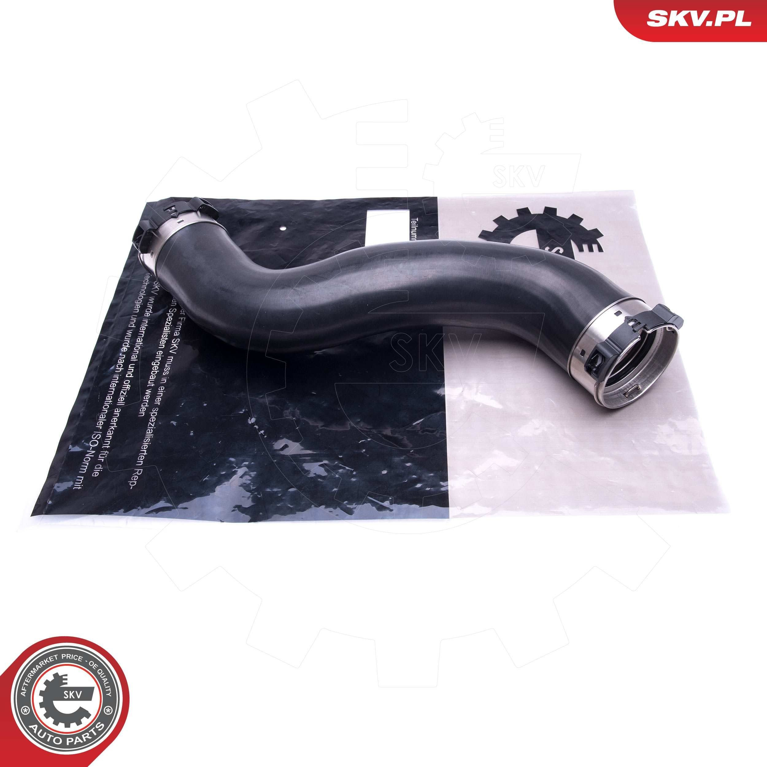  SKV 43SKV881