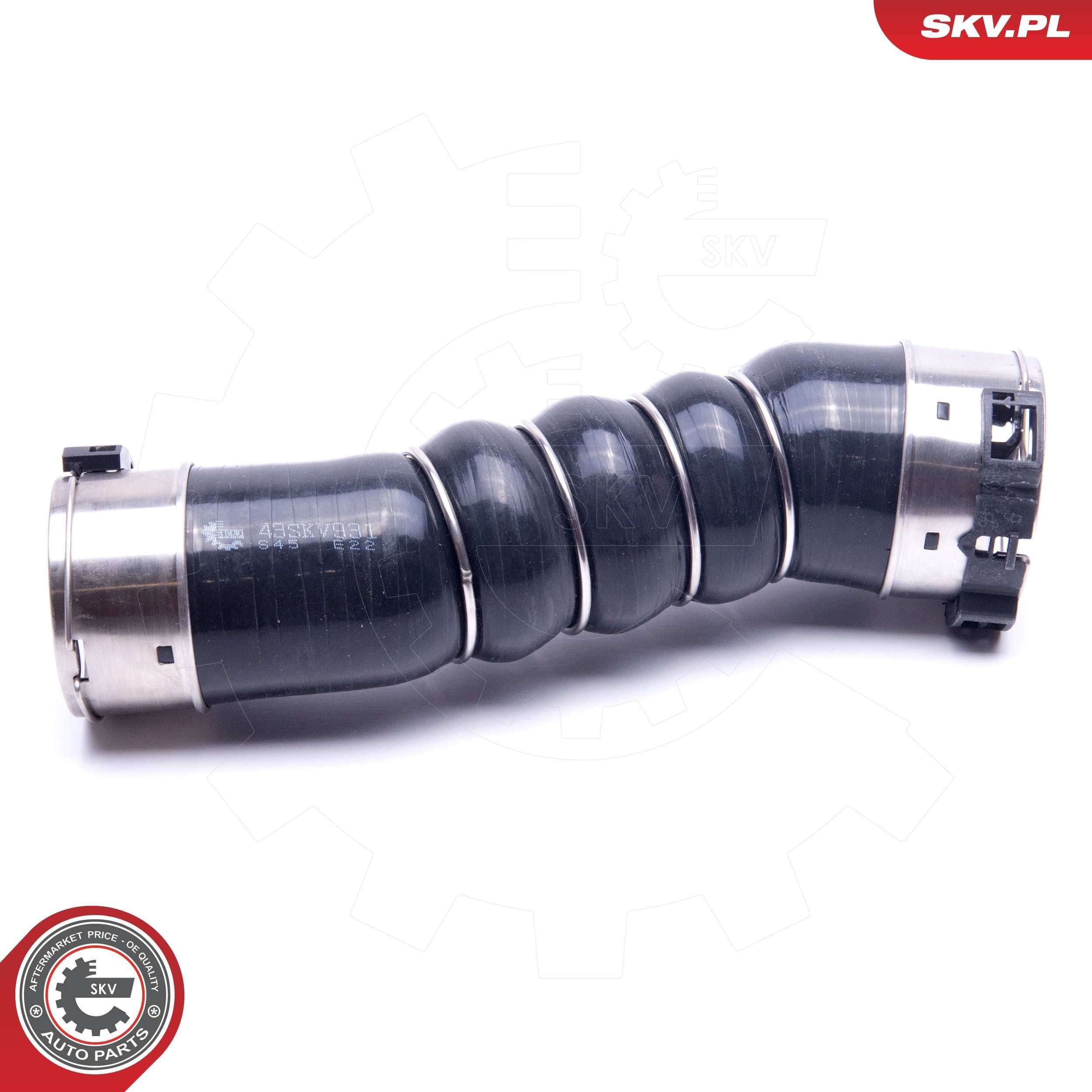 Купить 43SKV931 SKV 