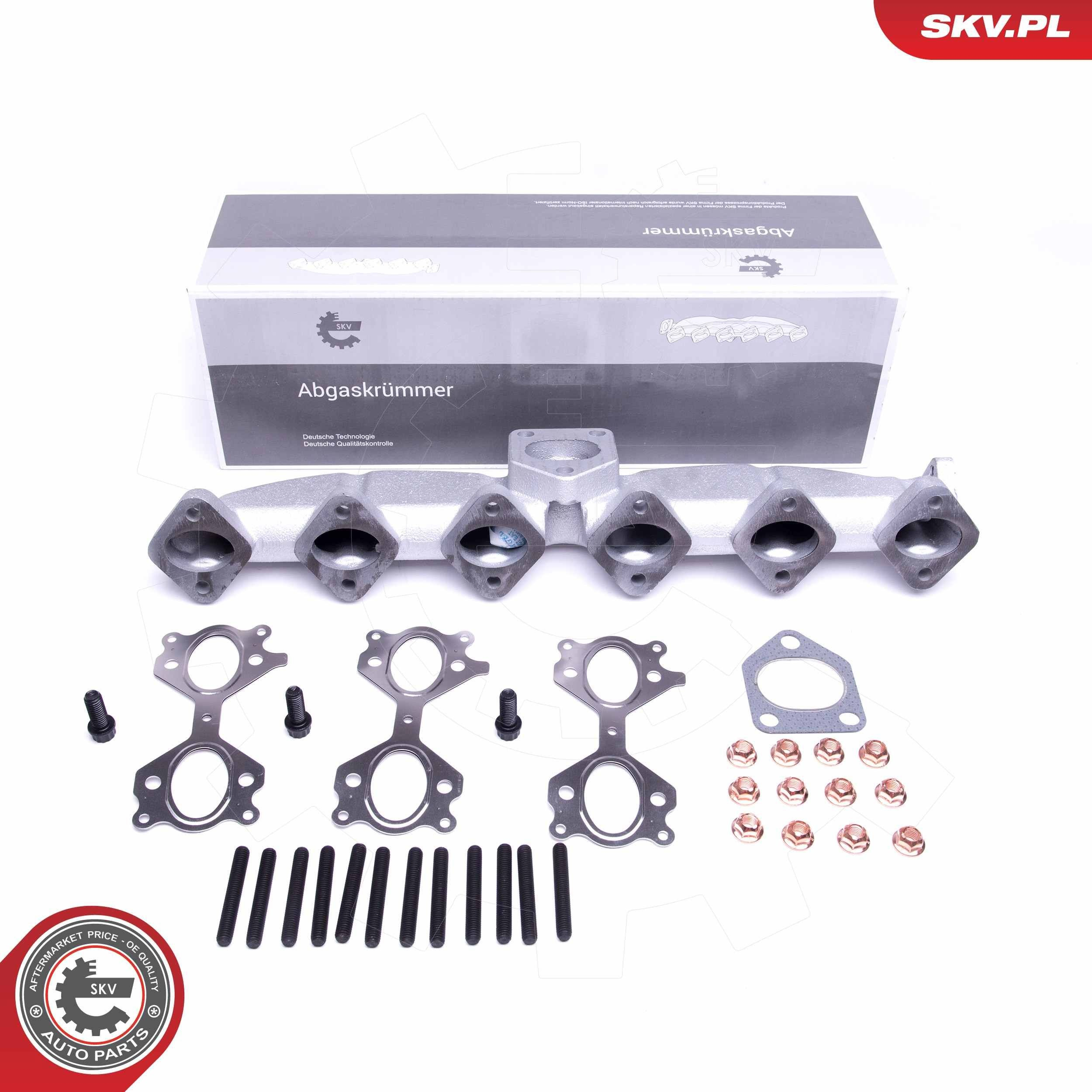 Катализатор SKV 49SKV053 цена, от 76.69 USD