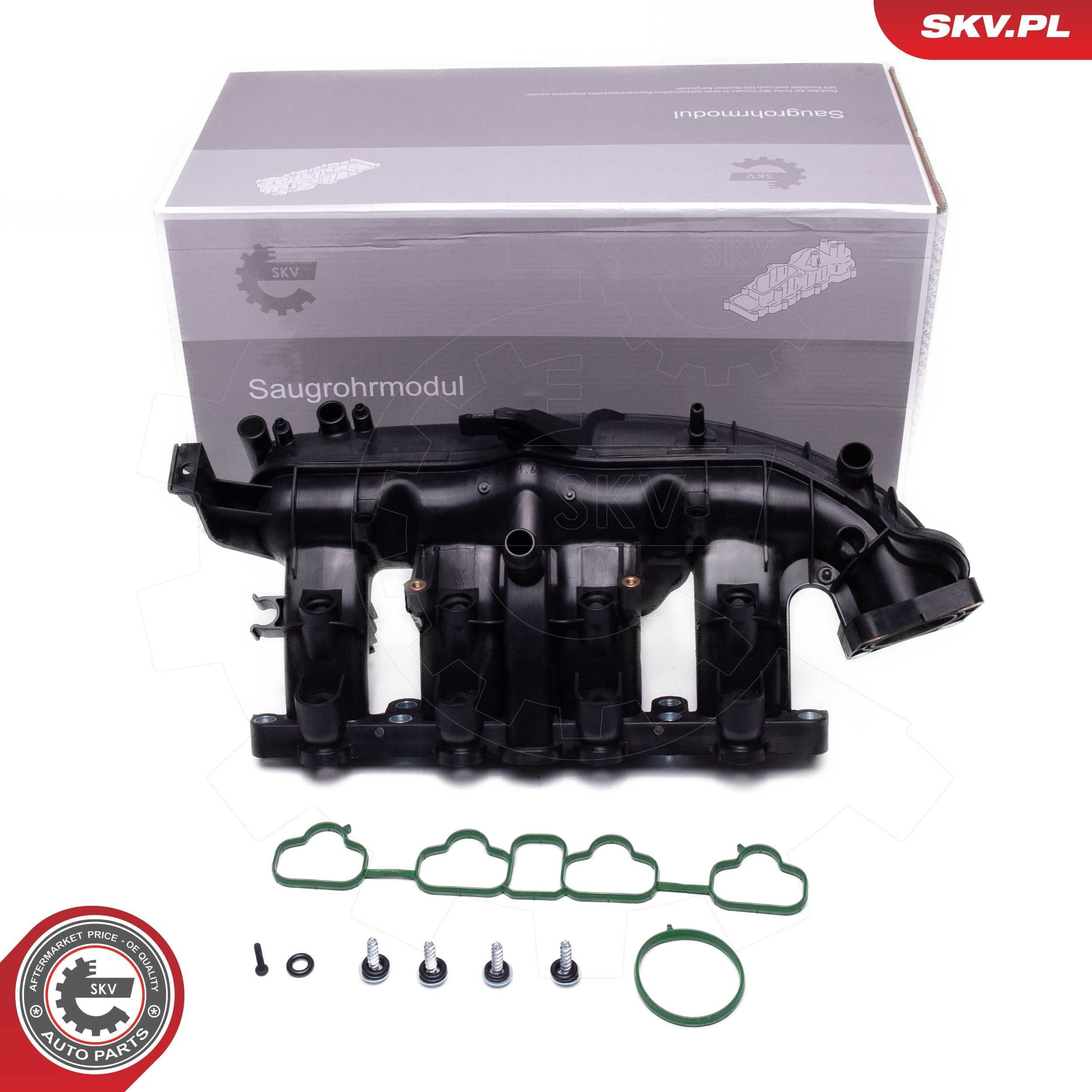 Впускной коллектор 49SKV076 SKV