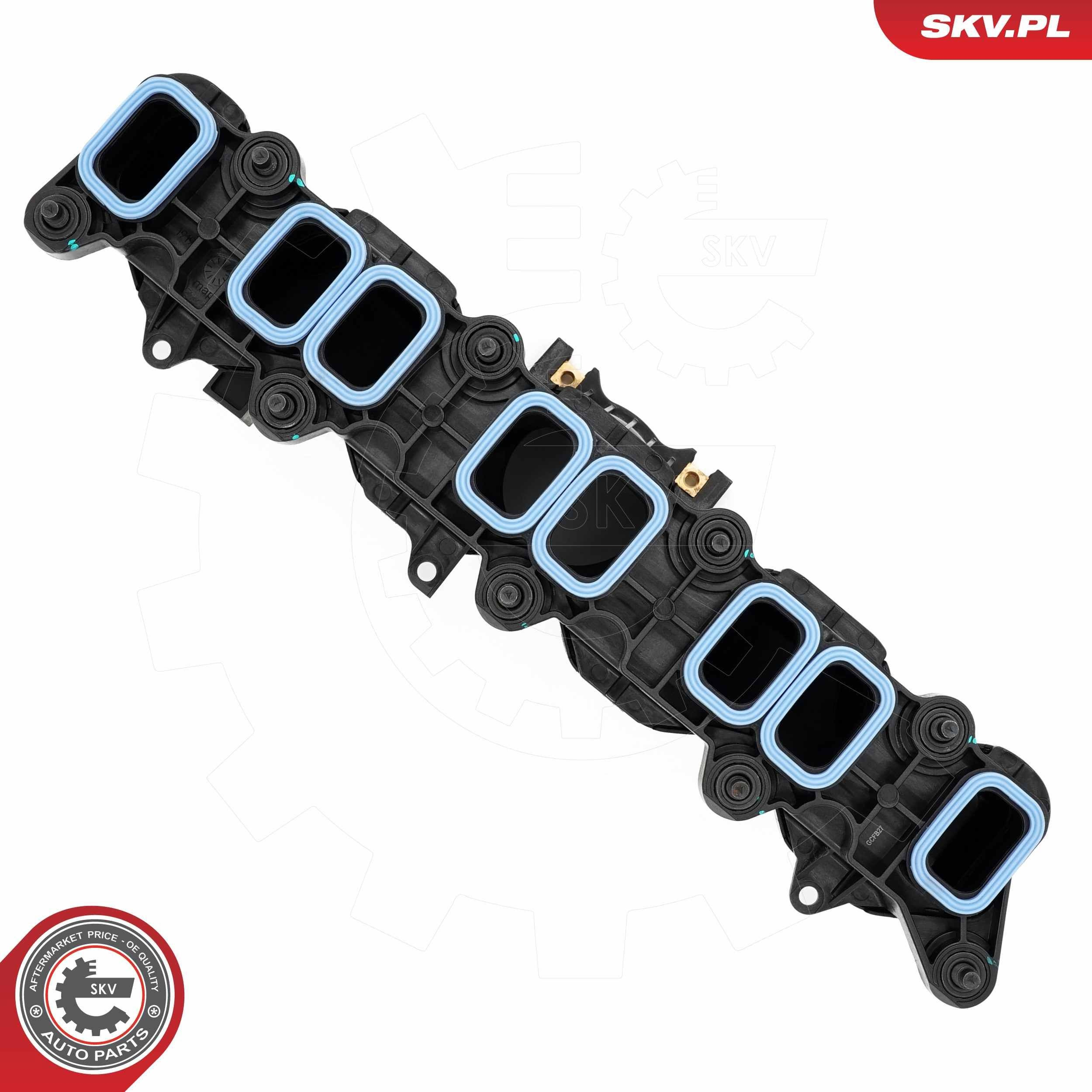 Впускной коллектор 49SKV089 SKV