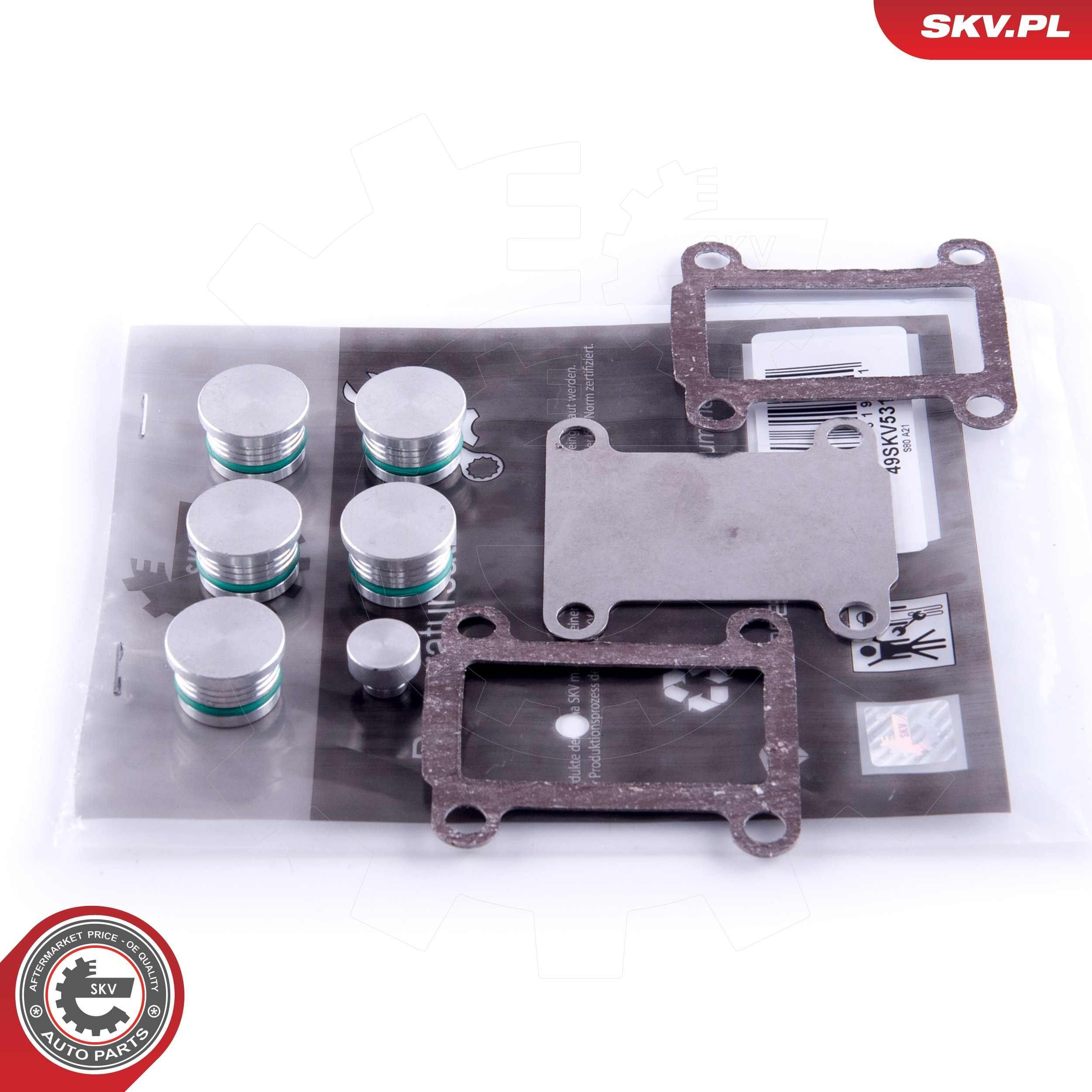  SKV 49SKV531 цена, от 19.07 USD