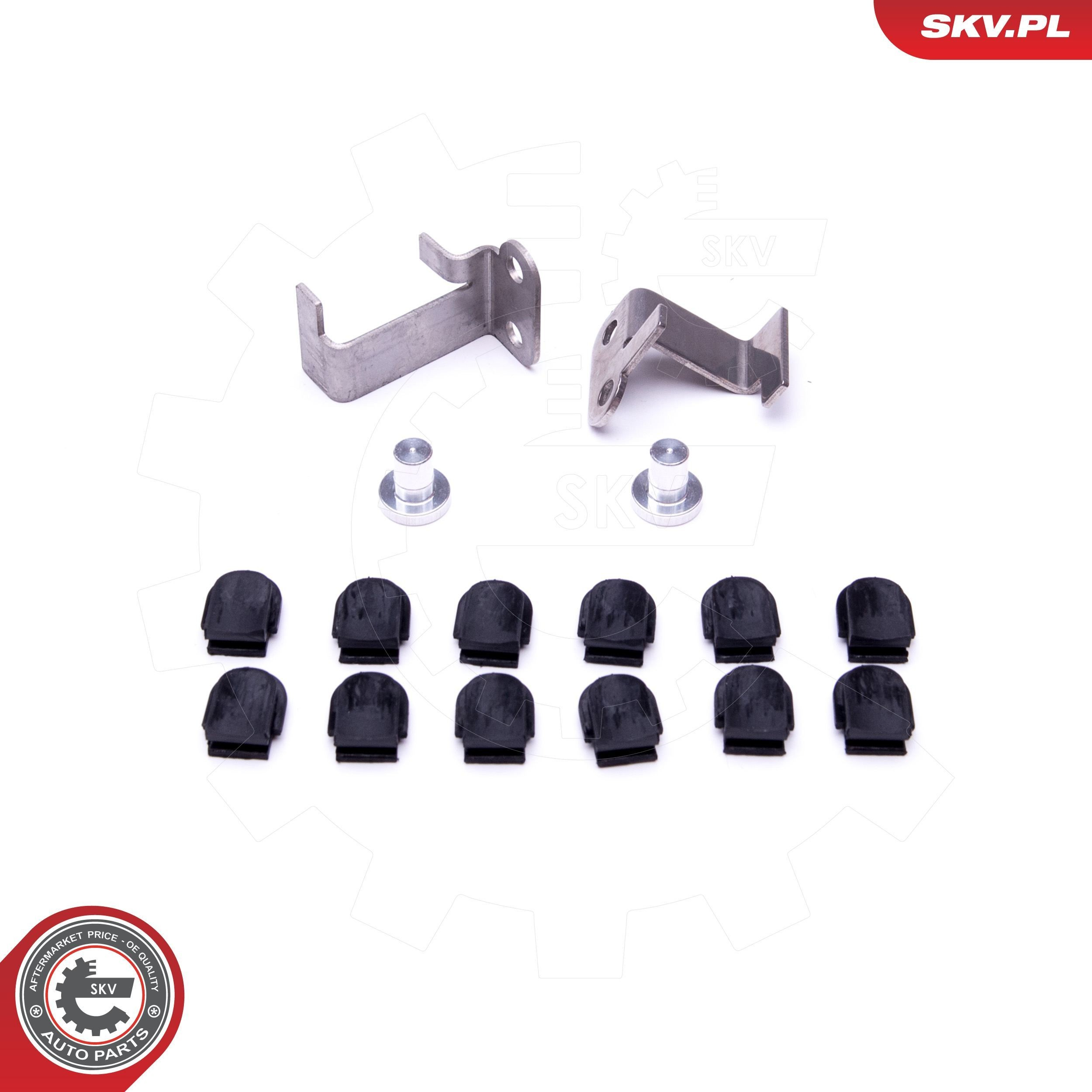 Регулятор дроссельной заслонки SKV 49SKV543 цена, от 65.37 USD