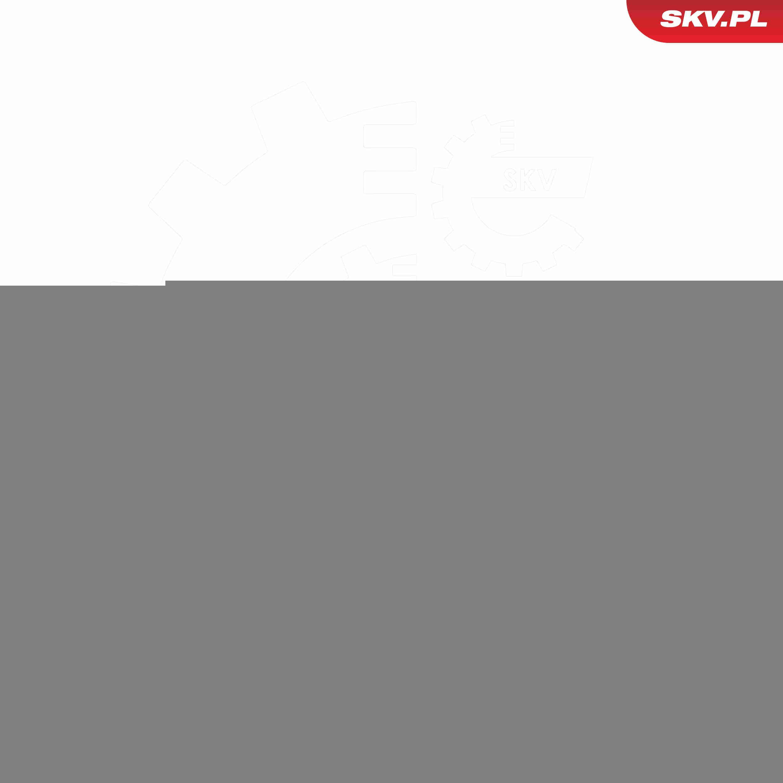 52SKV341 SKV Амортизатор крышки багажника
