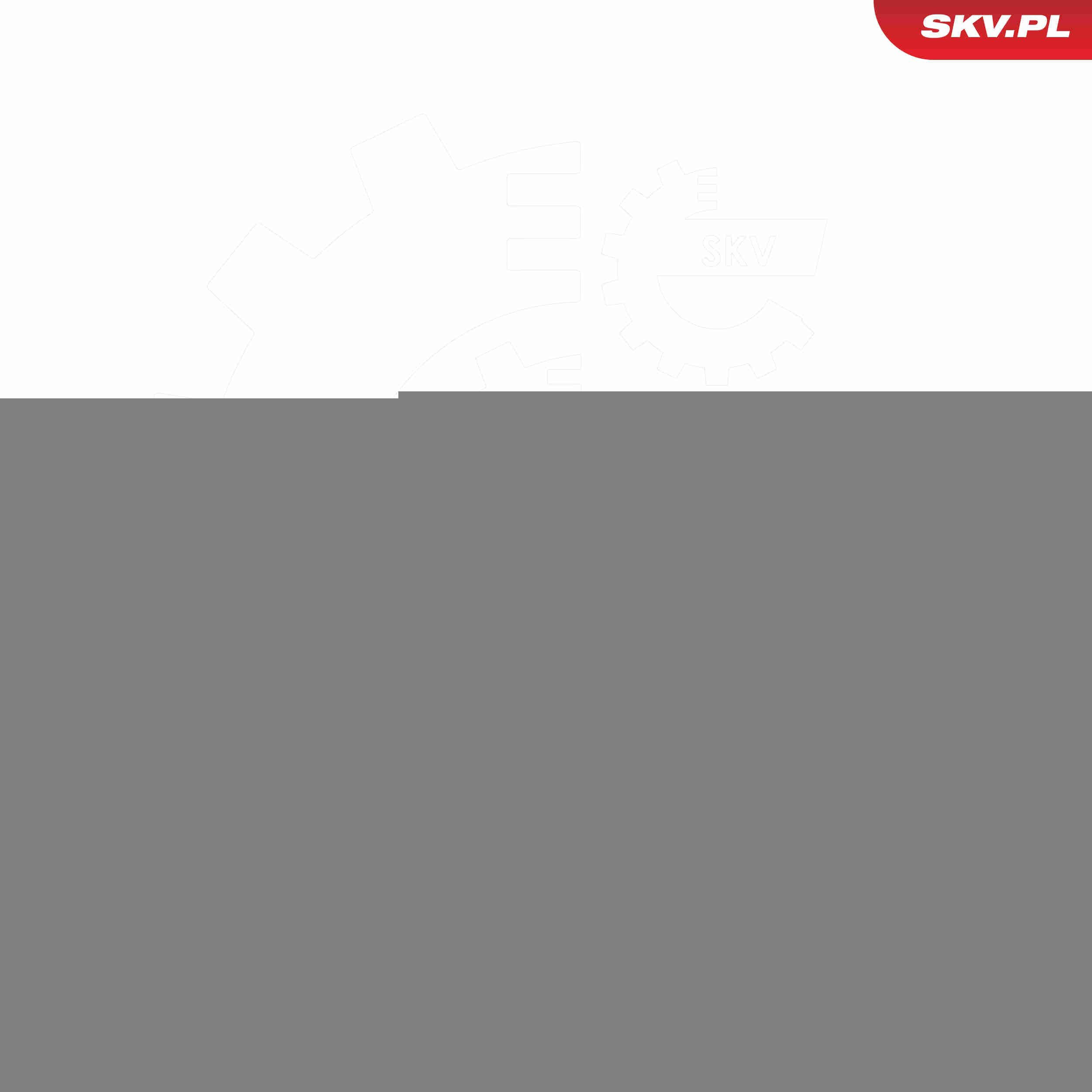 52SKV729 SKV Амортизатор крышки багажника