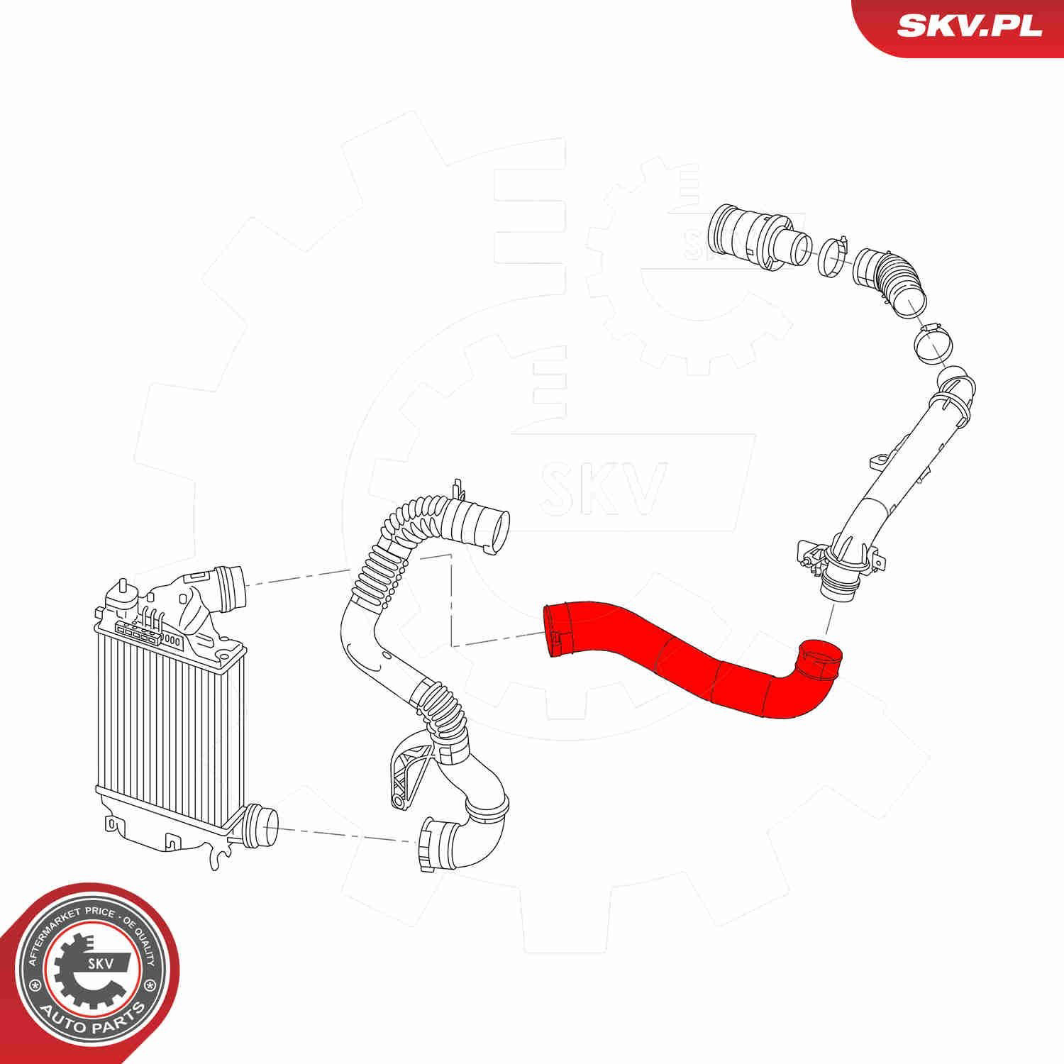 Шланг/патрубок интеркуллера SKV 54SKV009 цена, от 59.14 USD