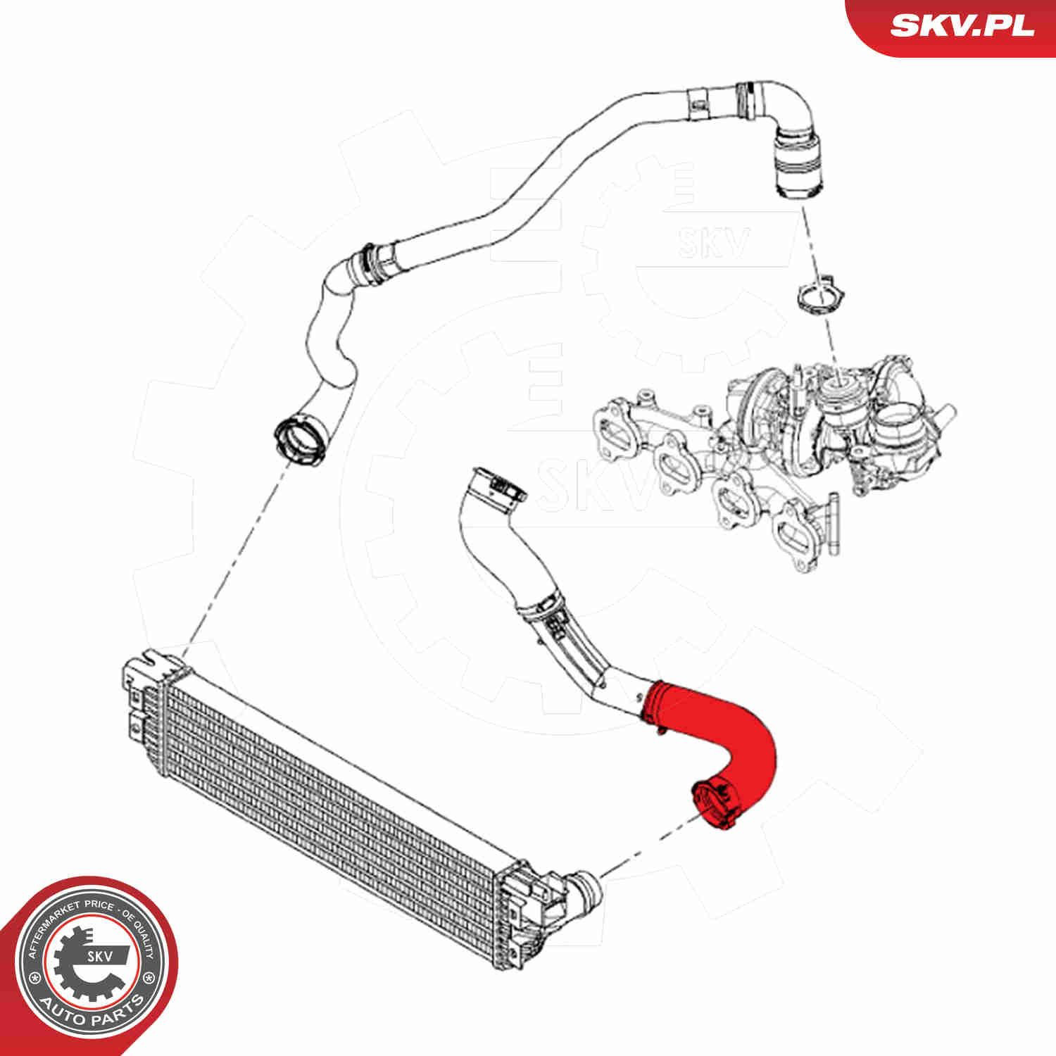Шланг/патрубок интеркуллера SKV 54SKV011 цена, от 59.17 USD