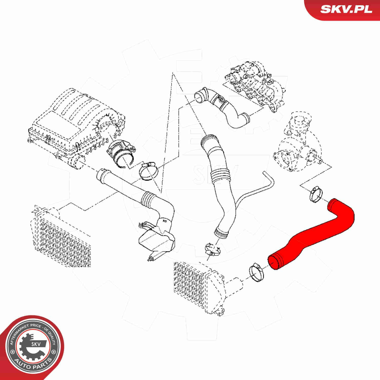  SKV 54SKV021 цена, от 45.54 USD