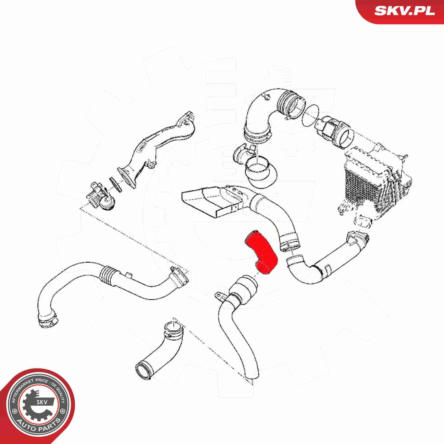 Шланг/патрубок интеркуллера SKV 54SKV034 цена, от 37.54 USD