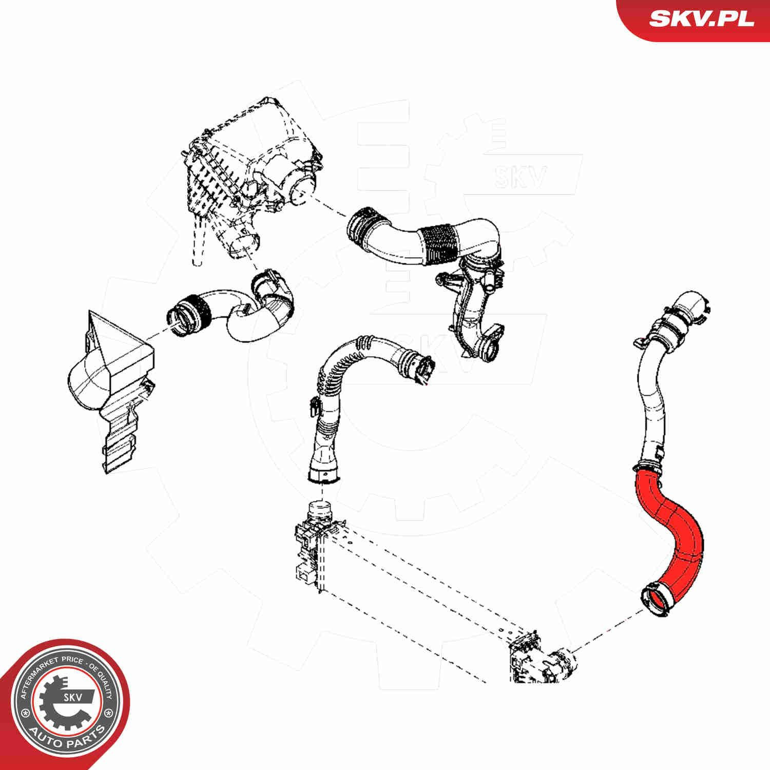 Шланг интеркуллера SKV 54SKV051