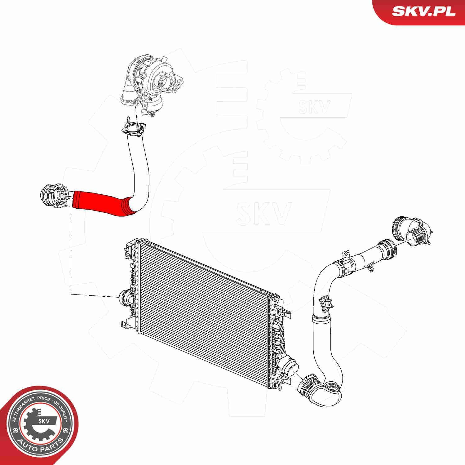  SKV 54SKV069 цена, от 41.41 USD
