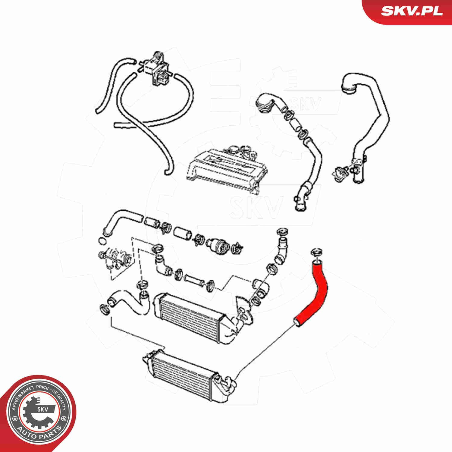  SKV 54SKV077 цена, от 39.03 USD