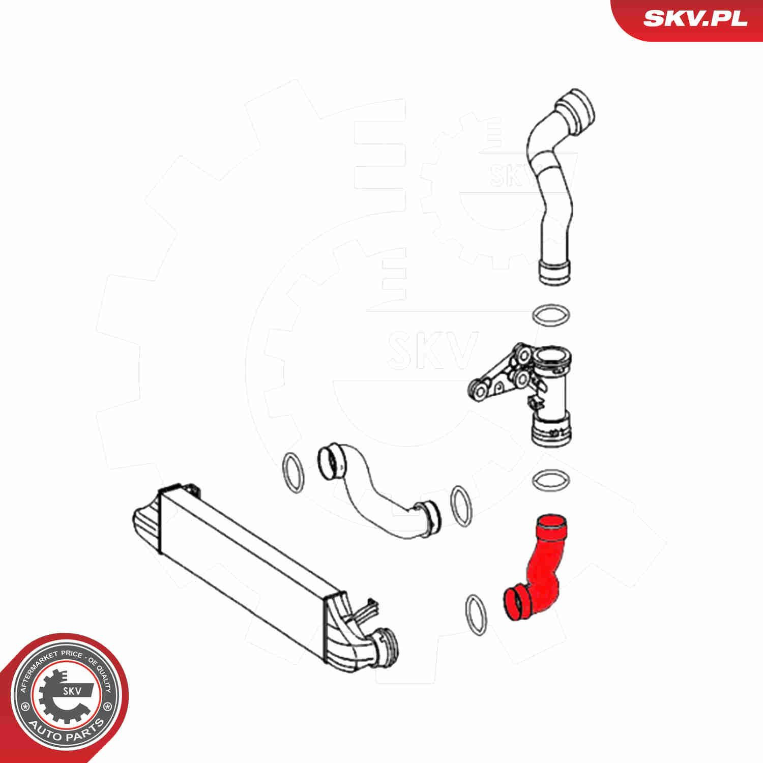 Шланг интеркуллера SKV 54SKV104