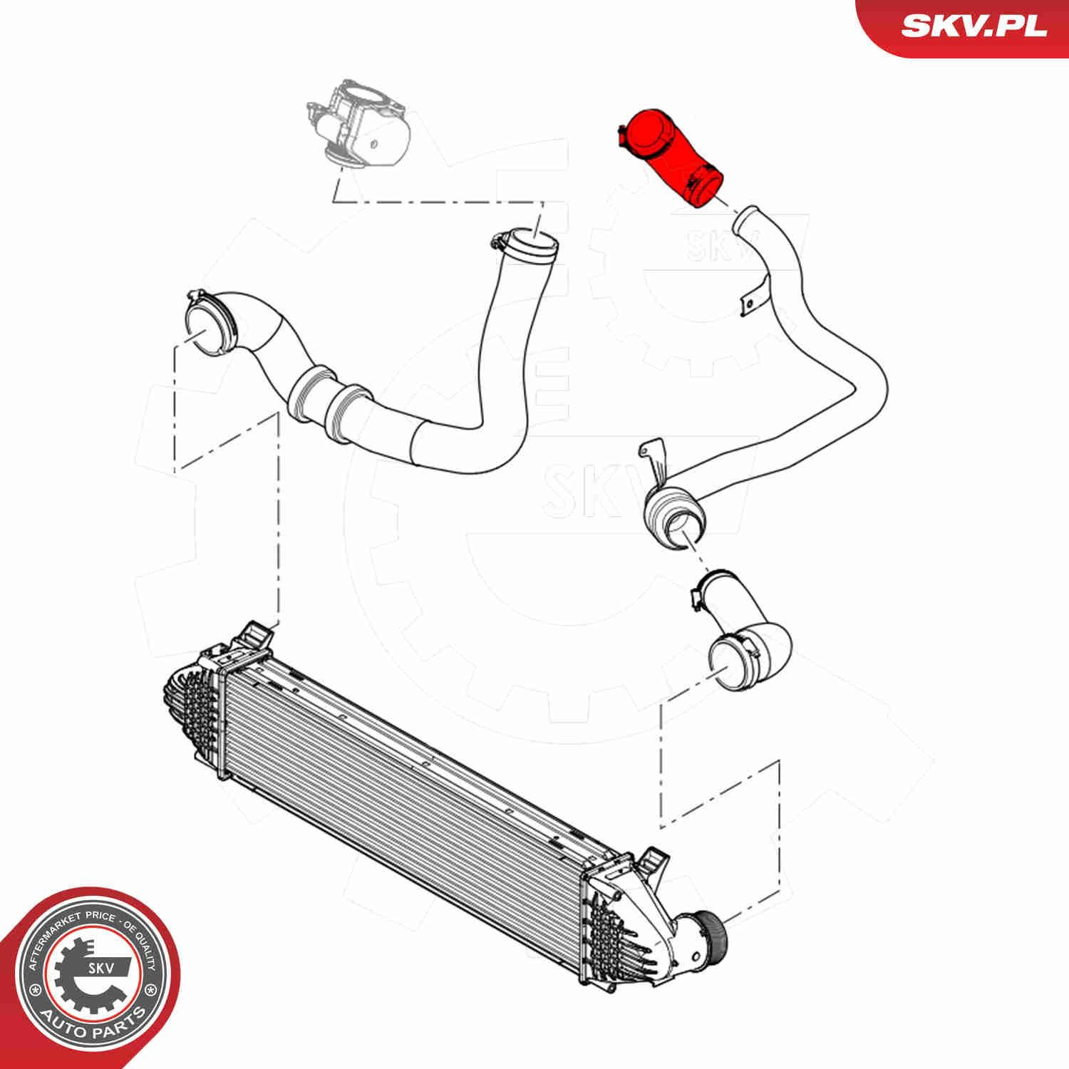 Патрубок интеркулера 54SKV117 SKV