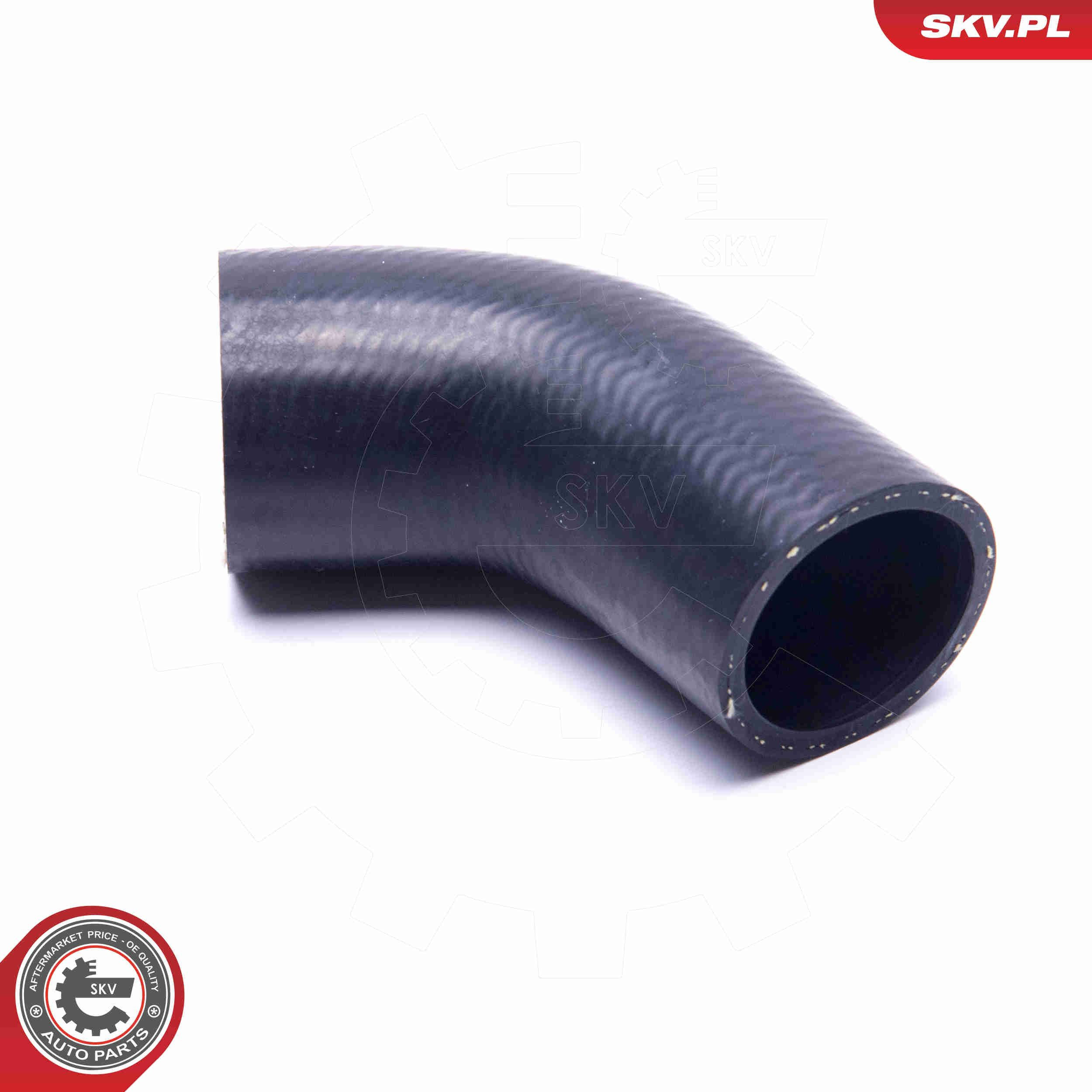 Купить 54SKV124 SKV 