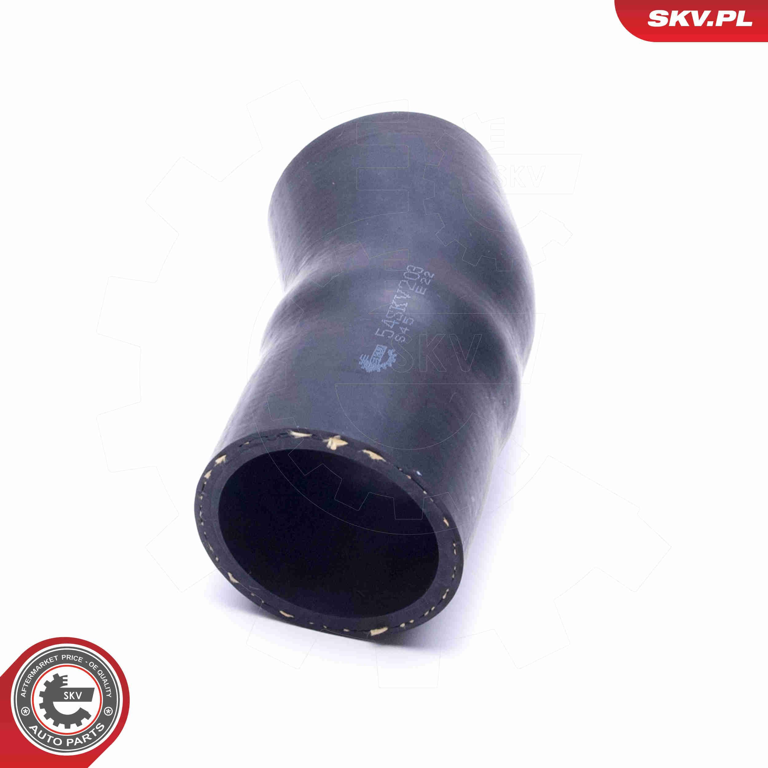 Купить 54SKV203 SKV 