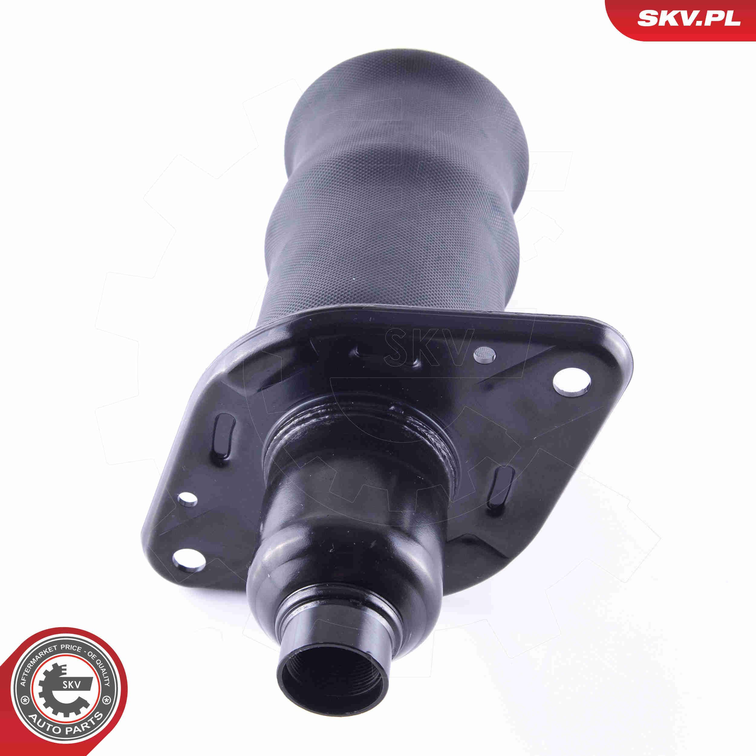 Пневмоподушка задняя SKV 58SKV040