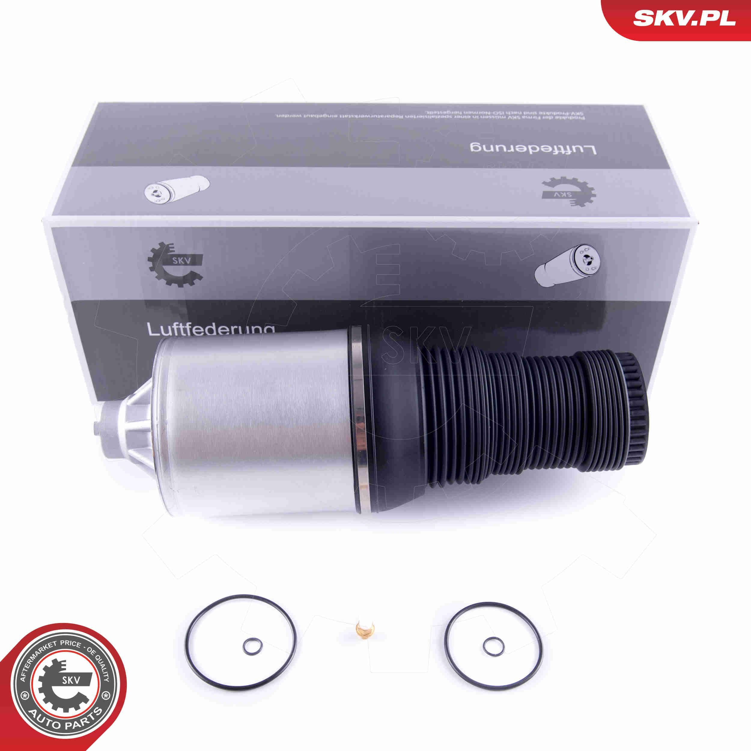 Купить 58SKV051 SKV 
