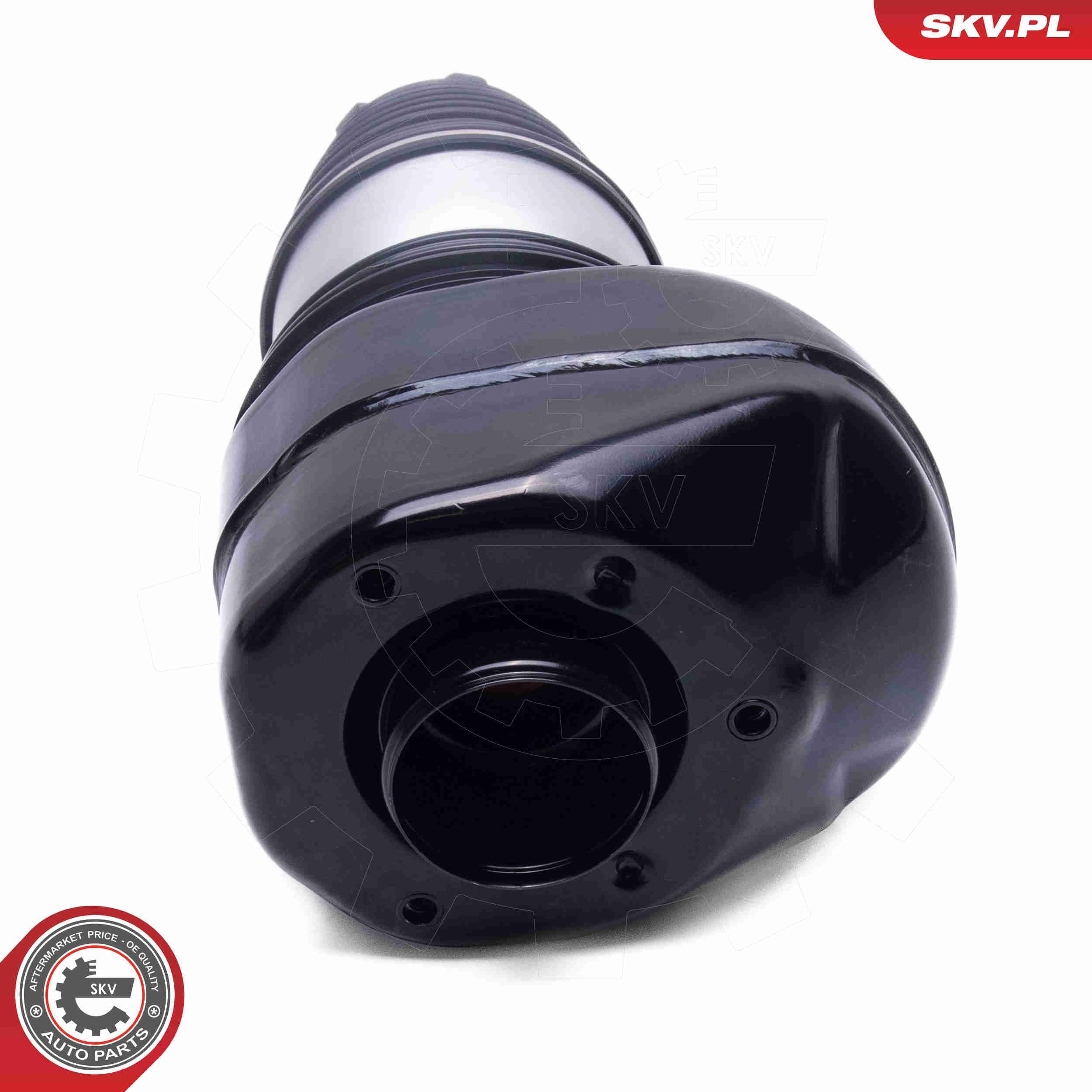 Купить 58SKV093 SKV 