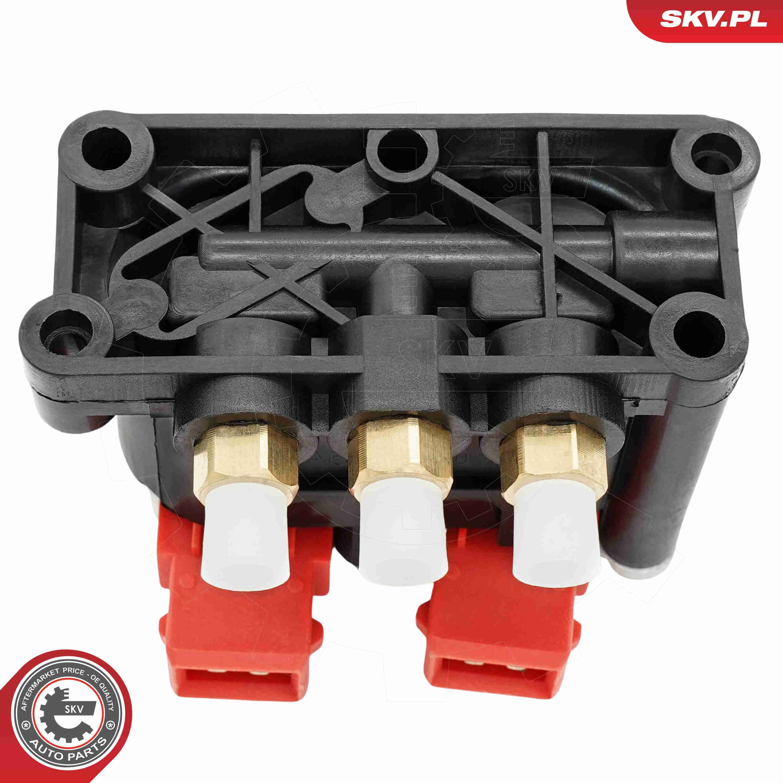  93SKV818 SKV