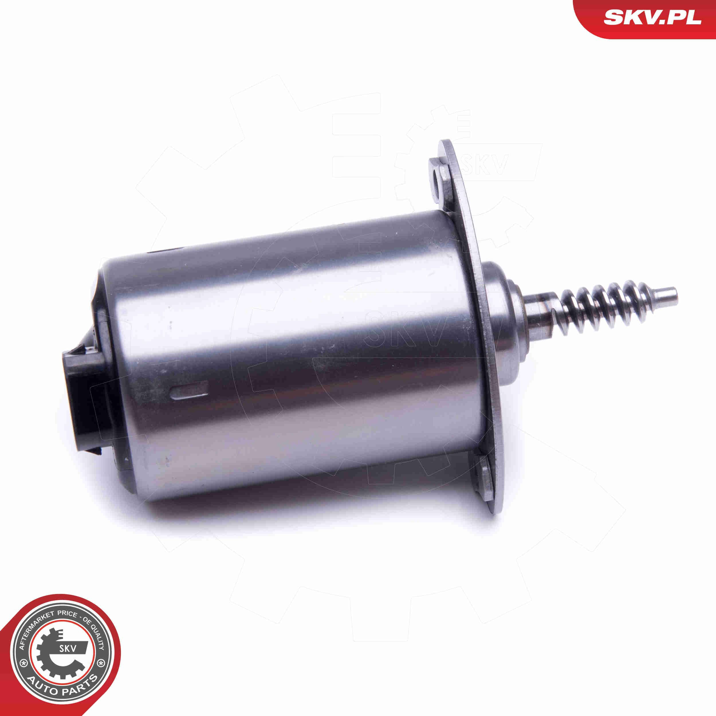 96SKV089 SKV Регулятор фаз газораспределения