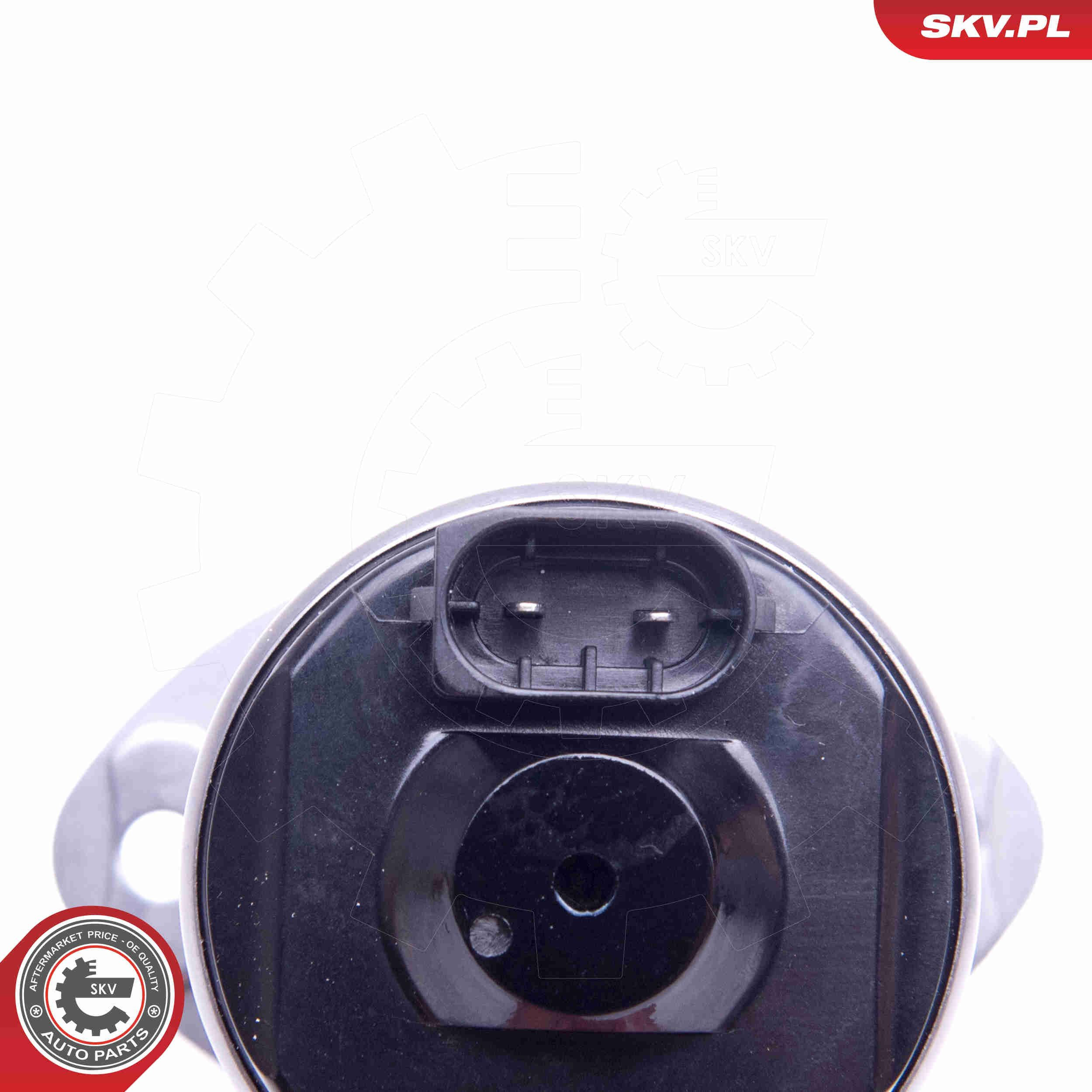 Регулятор фаз газораспределения SKV 96SKV089