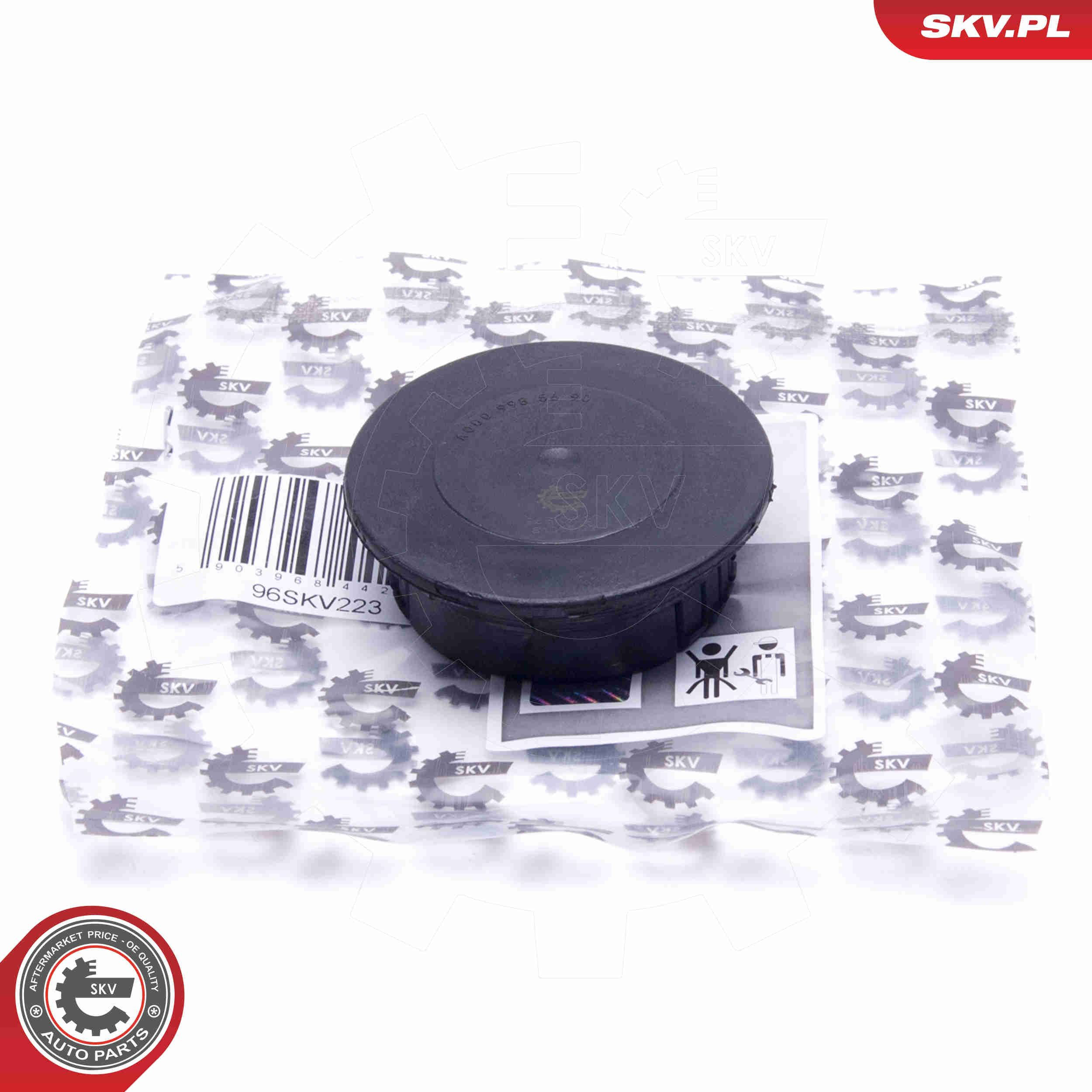 Заглушка отверстия ГБЦ вакуумного насоса SKV 96SKV223 цена, от 10.21 USD