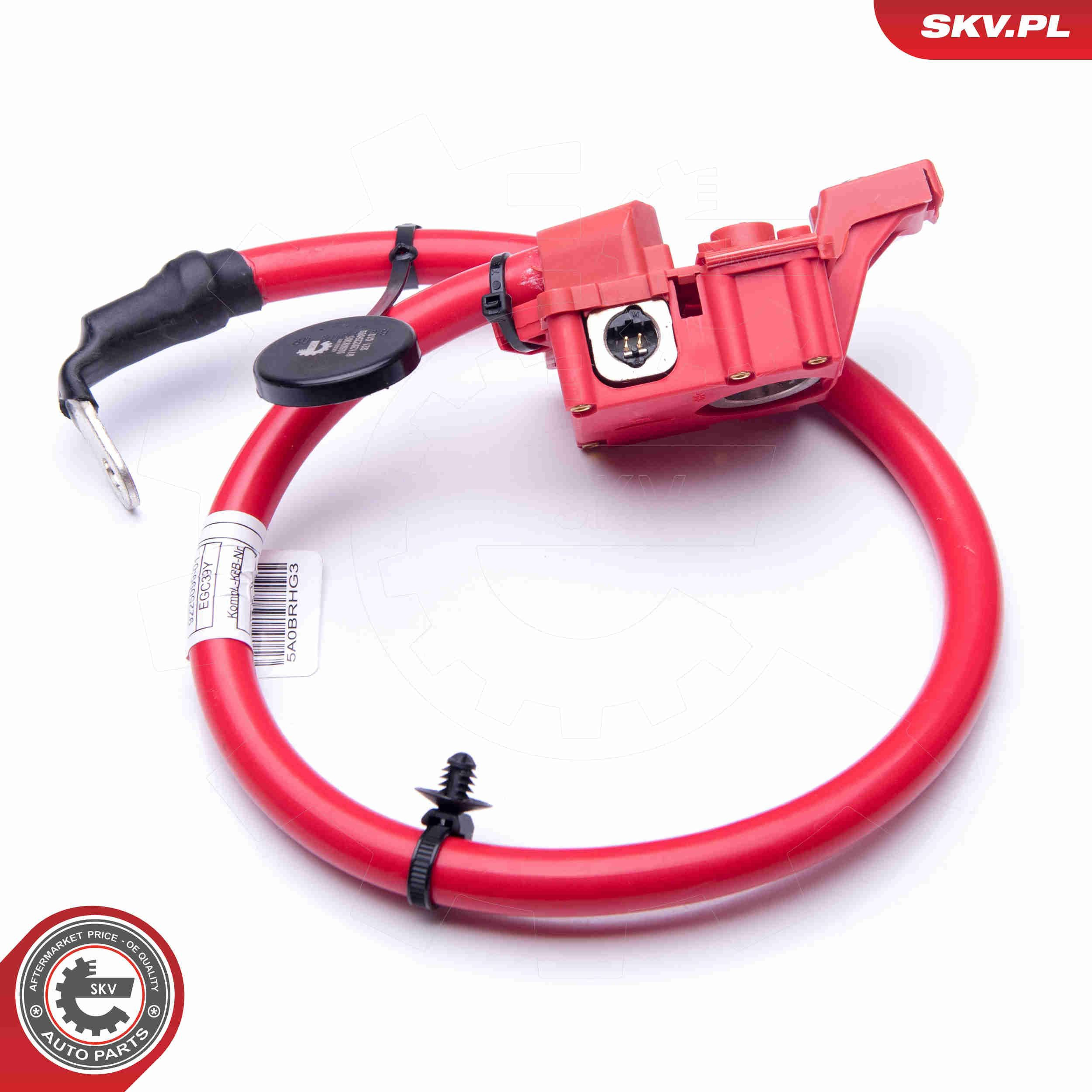 Кабель положительной клемы аккумулятора (АКБ) SKV 96SKV305 цена, от 38.49 USD