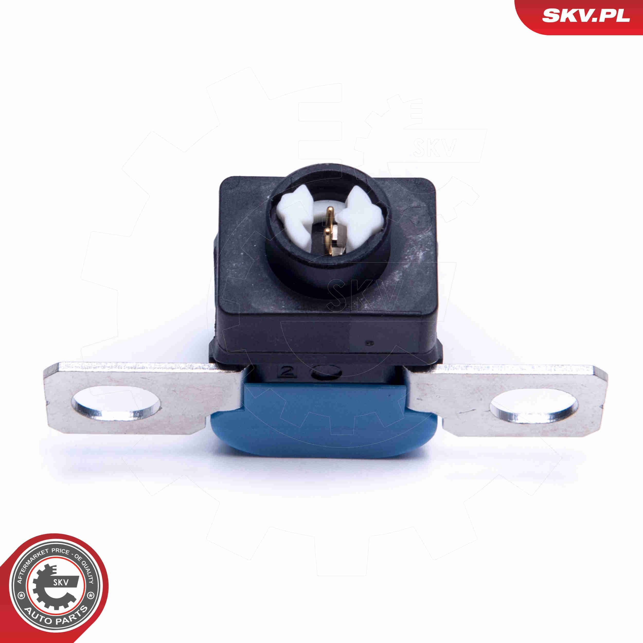  96SKV317 SKV