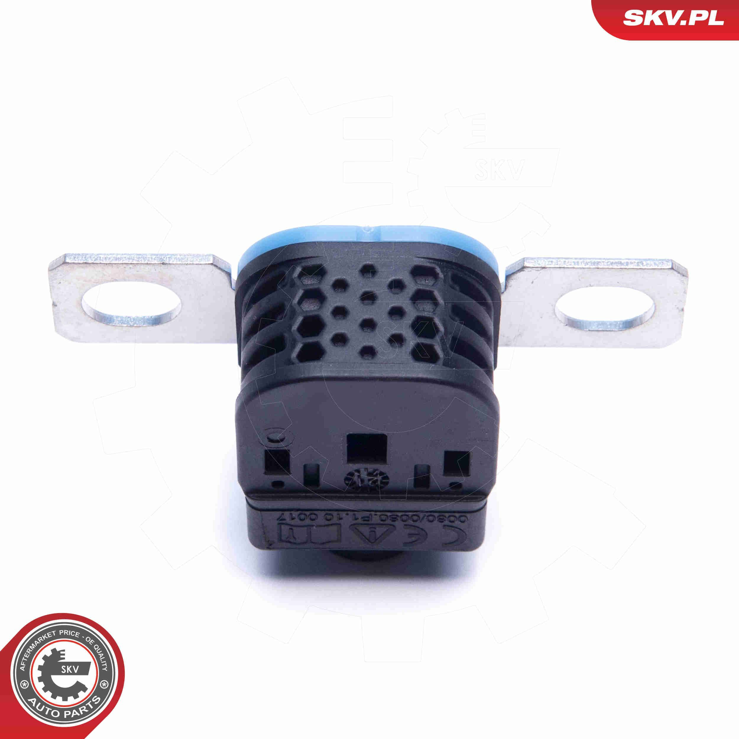  SKV 96SKV317